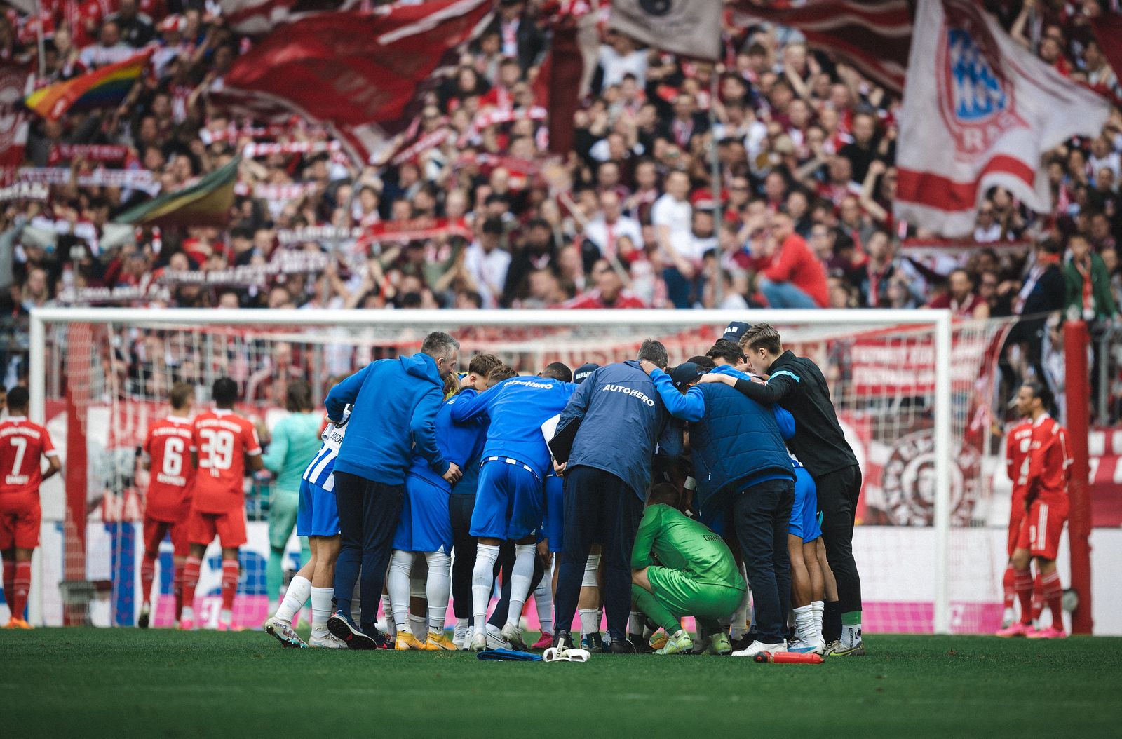 Was Ist Für Hertha BSC Noch Möglich? Pal Dardai Sagt: „Wir Geben Nicht ...