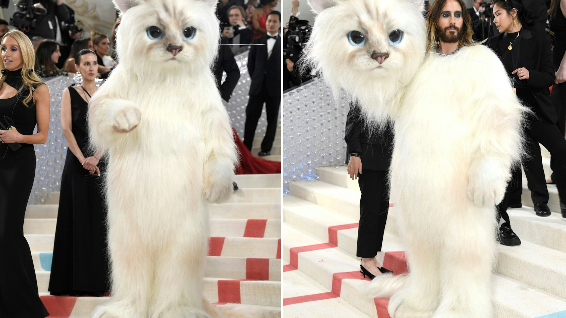 Dieses Kombinationsfoto zeigt Jared Leto als Katze Choupette bei seiner Ankunft zur Benefizgala des Costume Institute des Metropolitan Museum of Art.