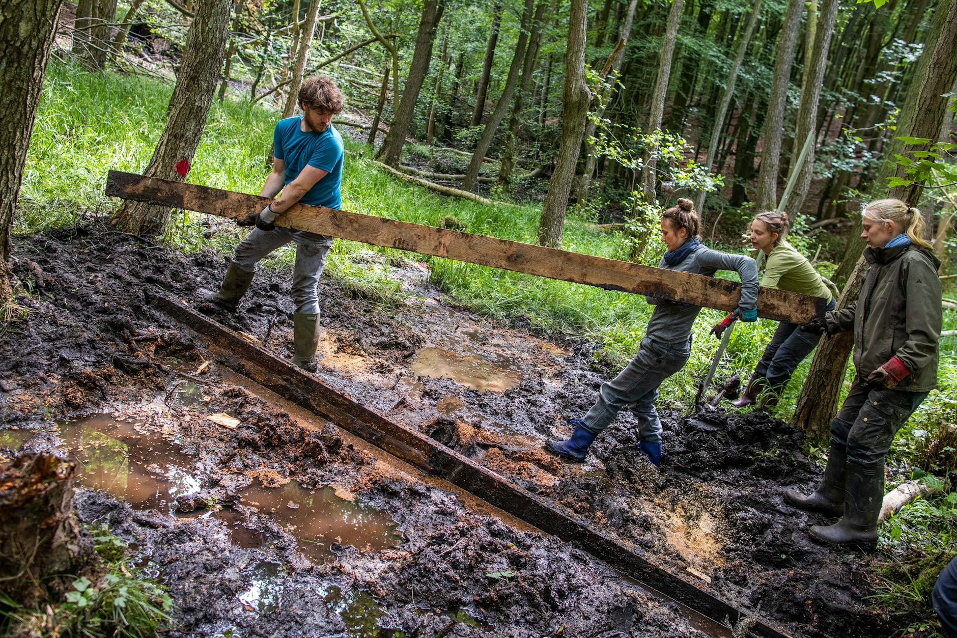 Freiwillige des Bergwaldprojekts bauen aus Holz eine Wassersperre und bereiten so die Wiedervernässung von Moorflächen vor. 