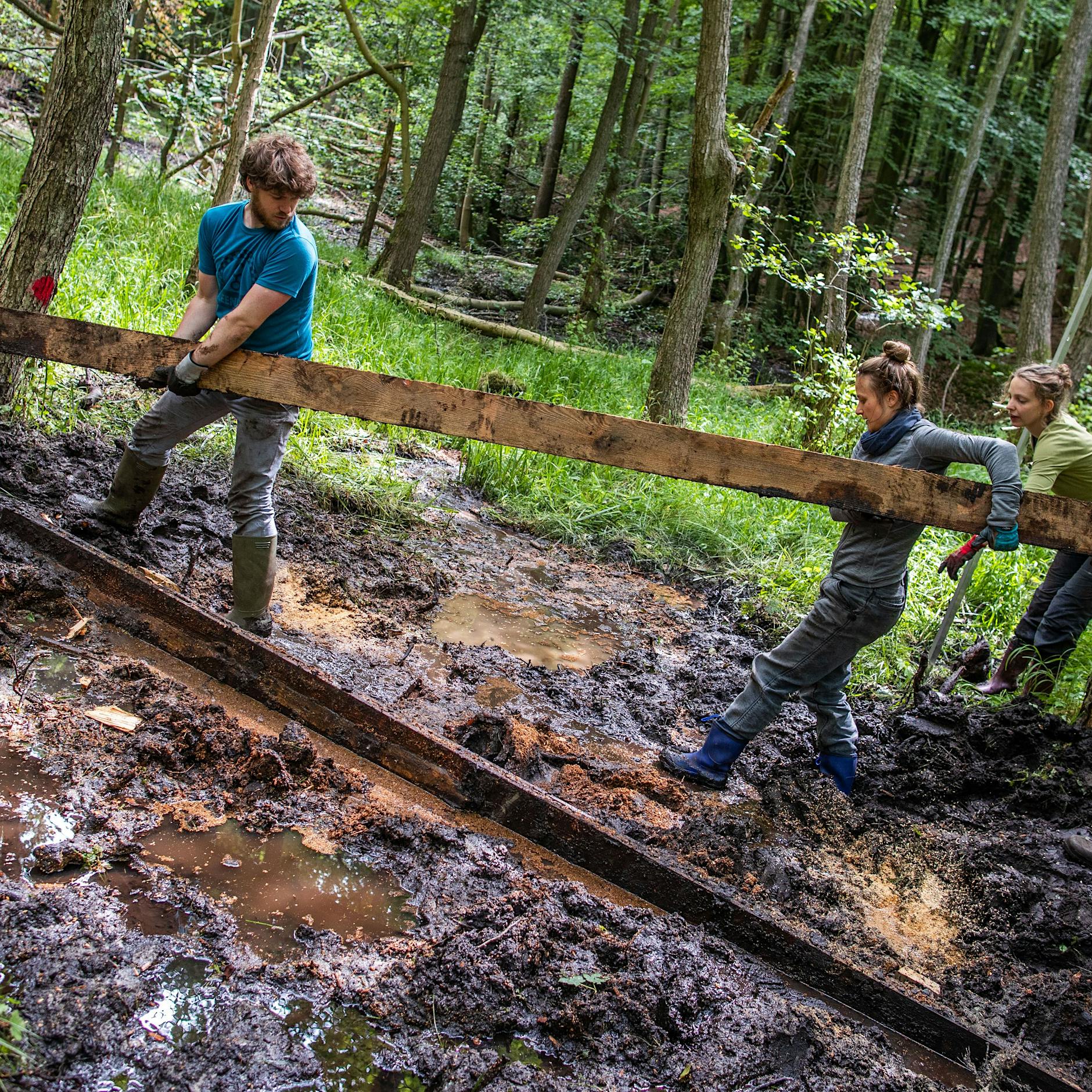Klimakrise: Zehn Klima-Signale, die Hoffnung machen