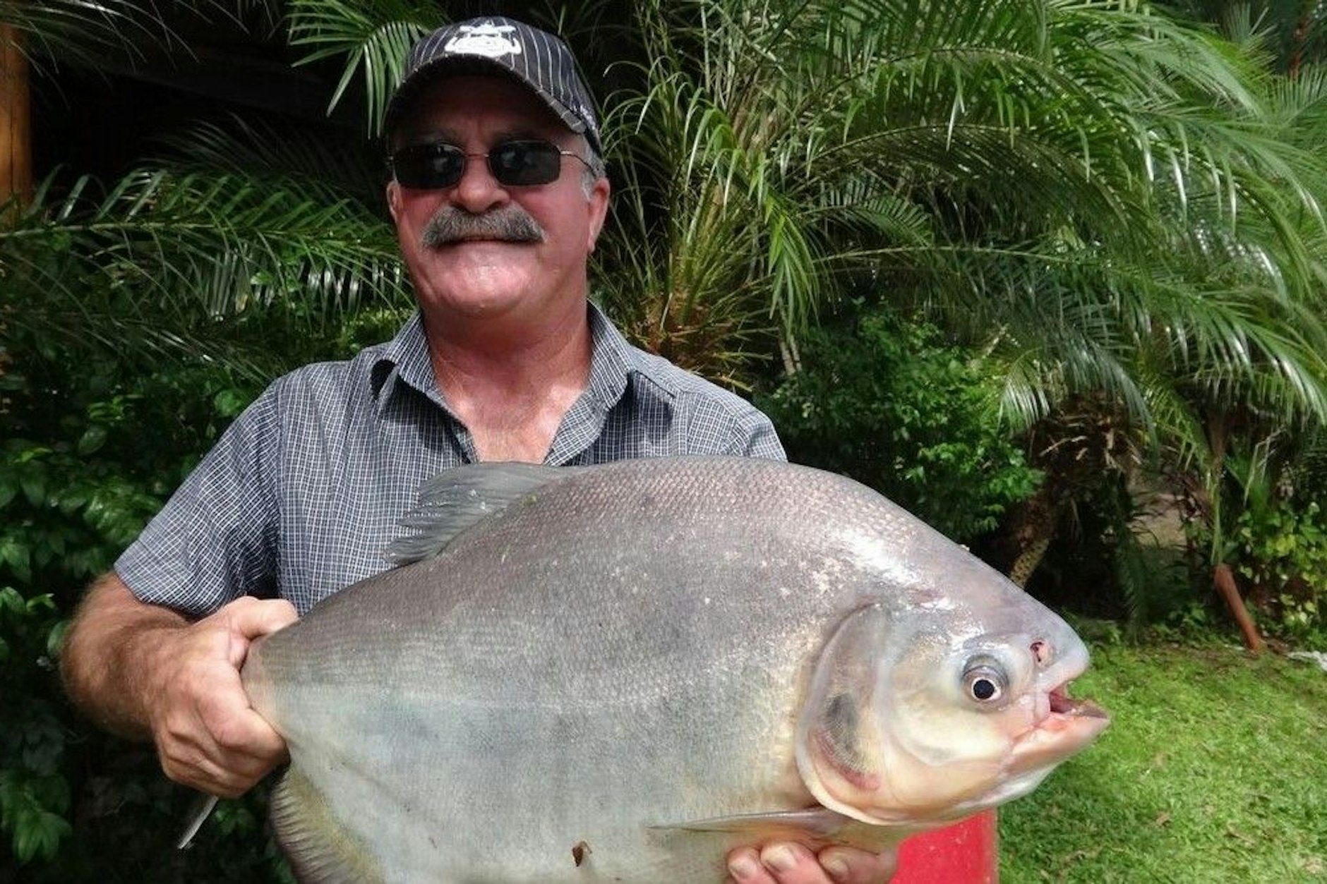 Der 65-jähriger Kevin Darmody gilt als vermisst, wurde in Australien vermutlich von Krokodilen gefressen.