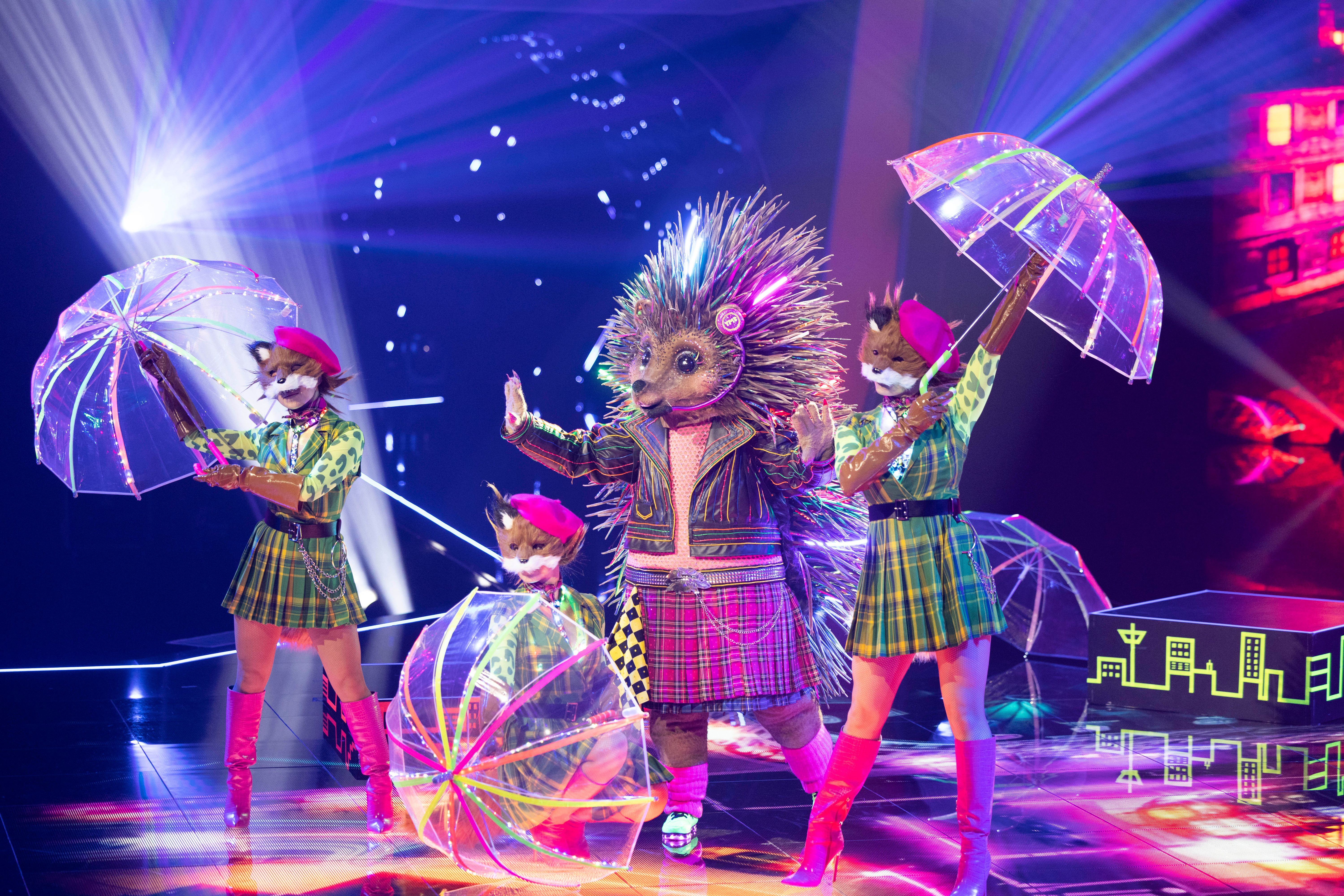 Image - Schock bei „Masked Singer“: SIE ist der Igel! Neue Theorie überrascht