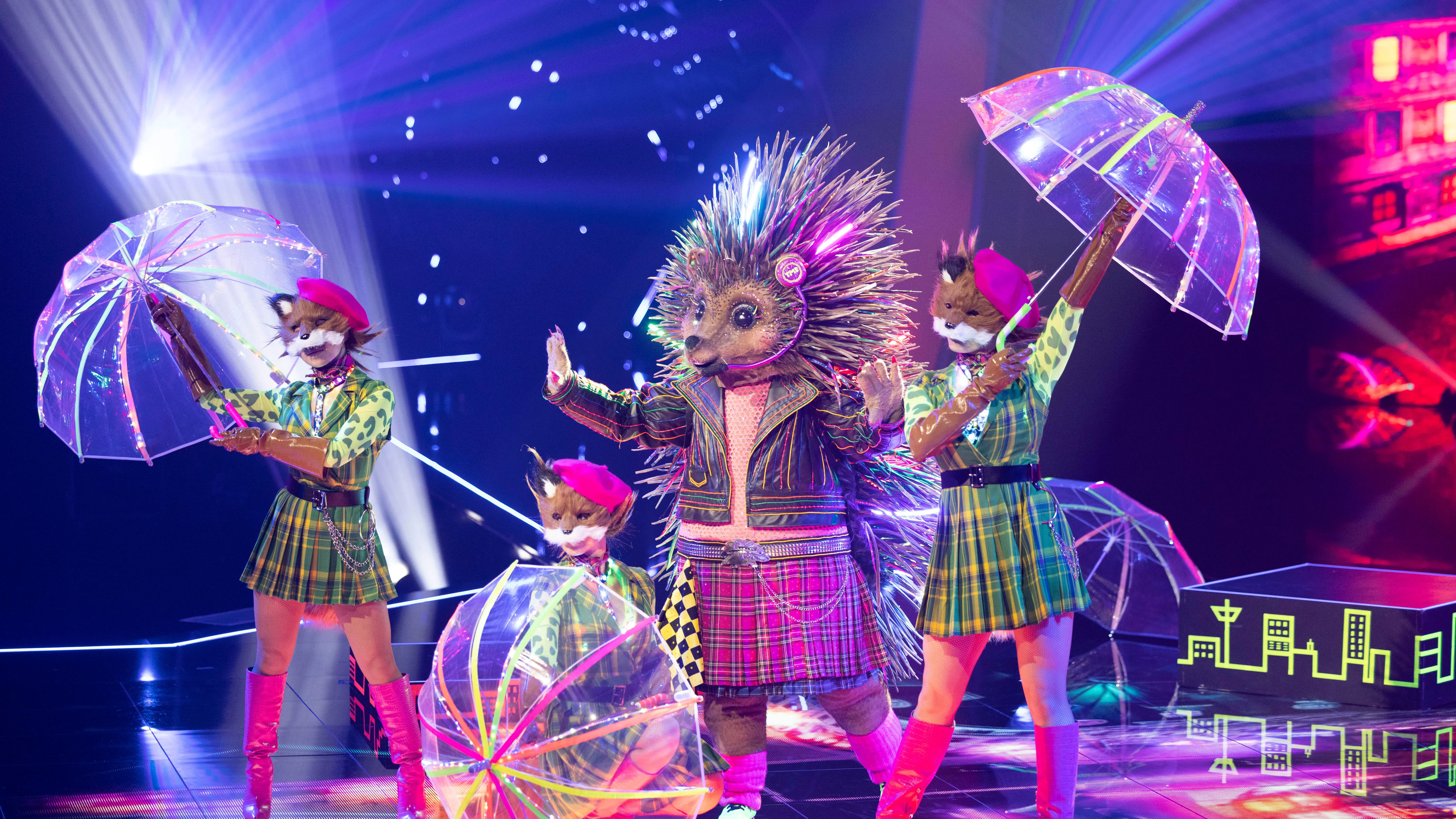 Auch der Igel ist im Finale von „The Masked Singer“ dabei.