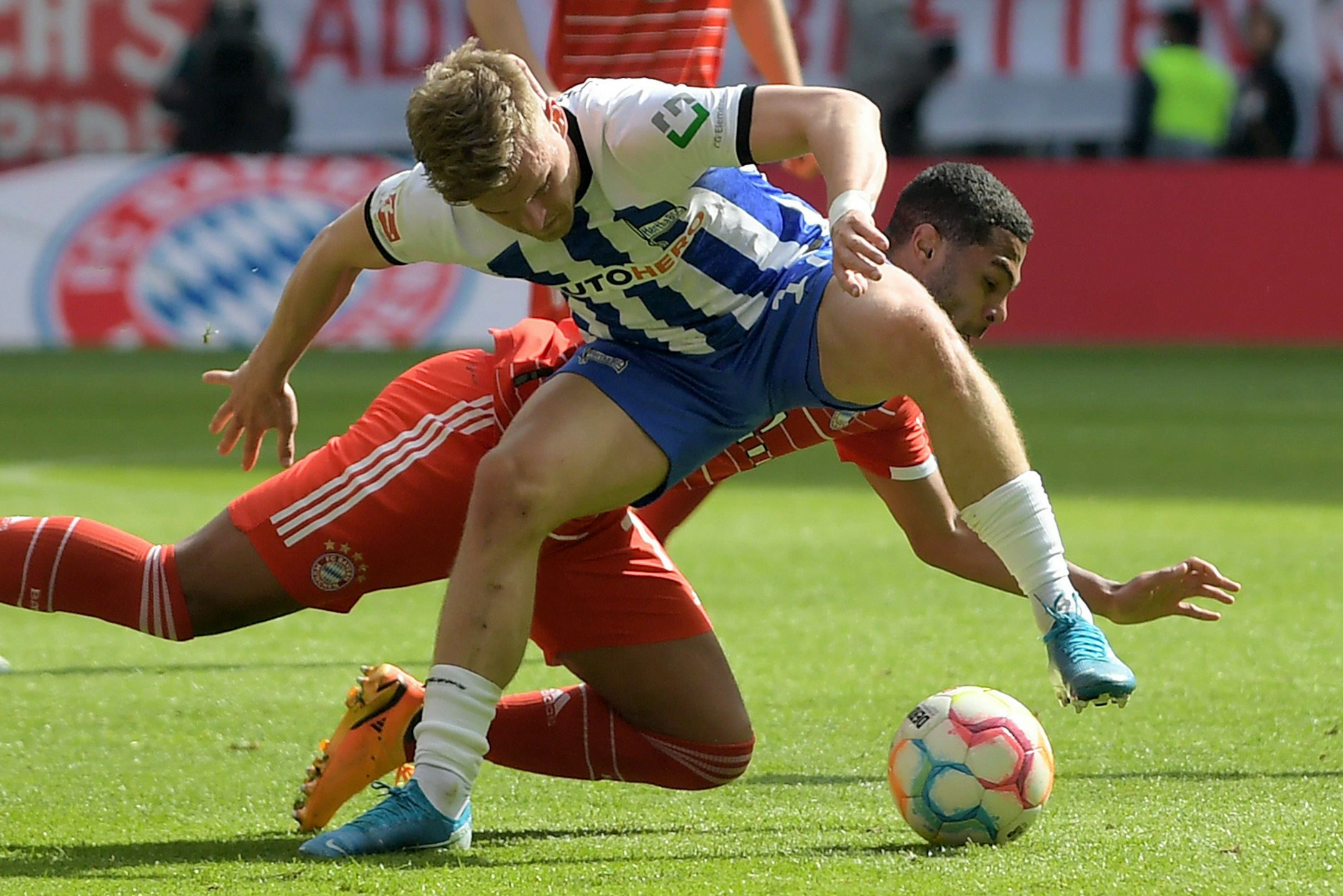 So geht’s: Herthas Maxi Mittelstädt (v.) haut sich gegen Bayerns Serge Gnabry voll rein.