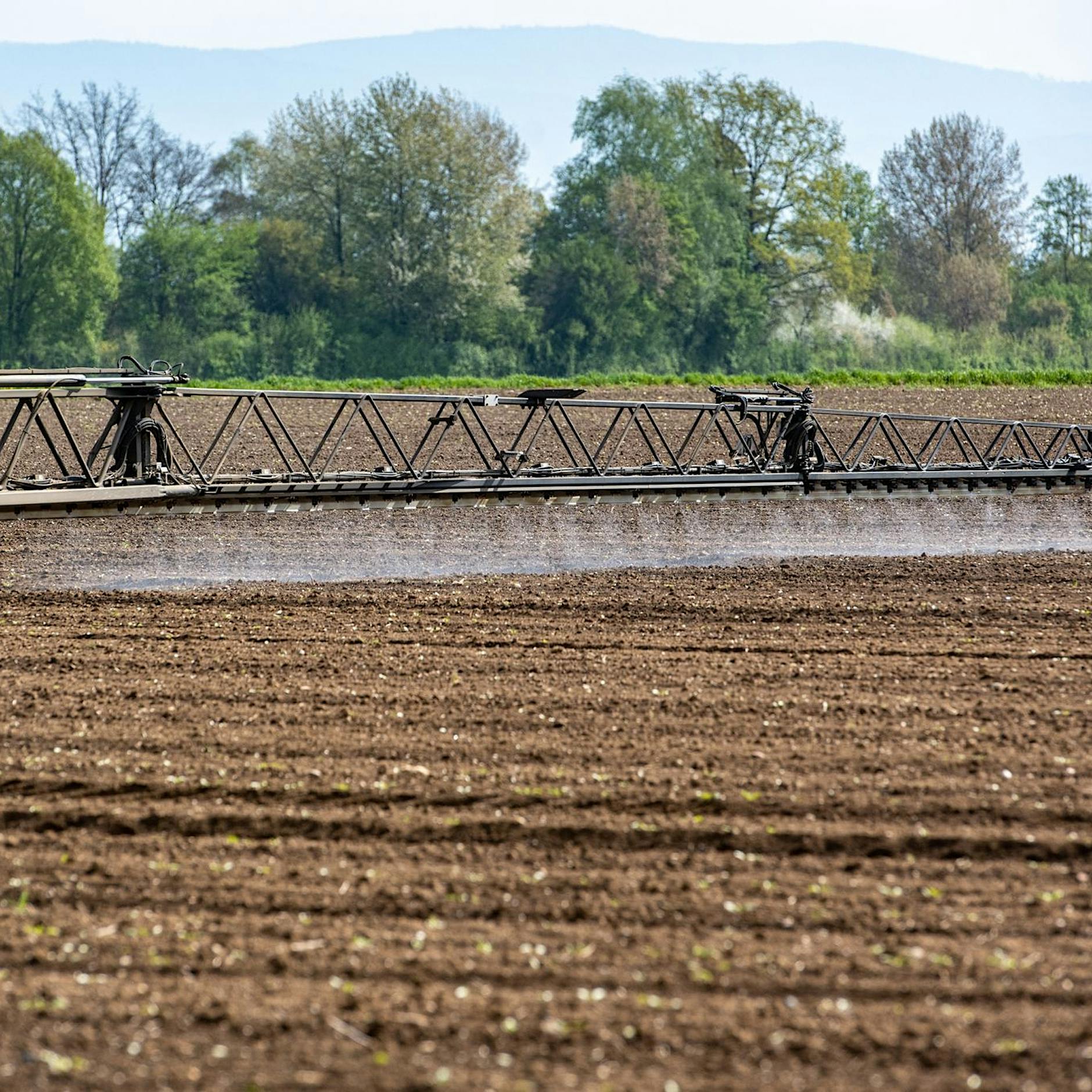 Weiter große Risiken durch Pestizid-Einsatz in Europa