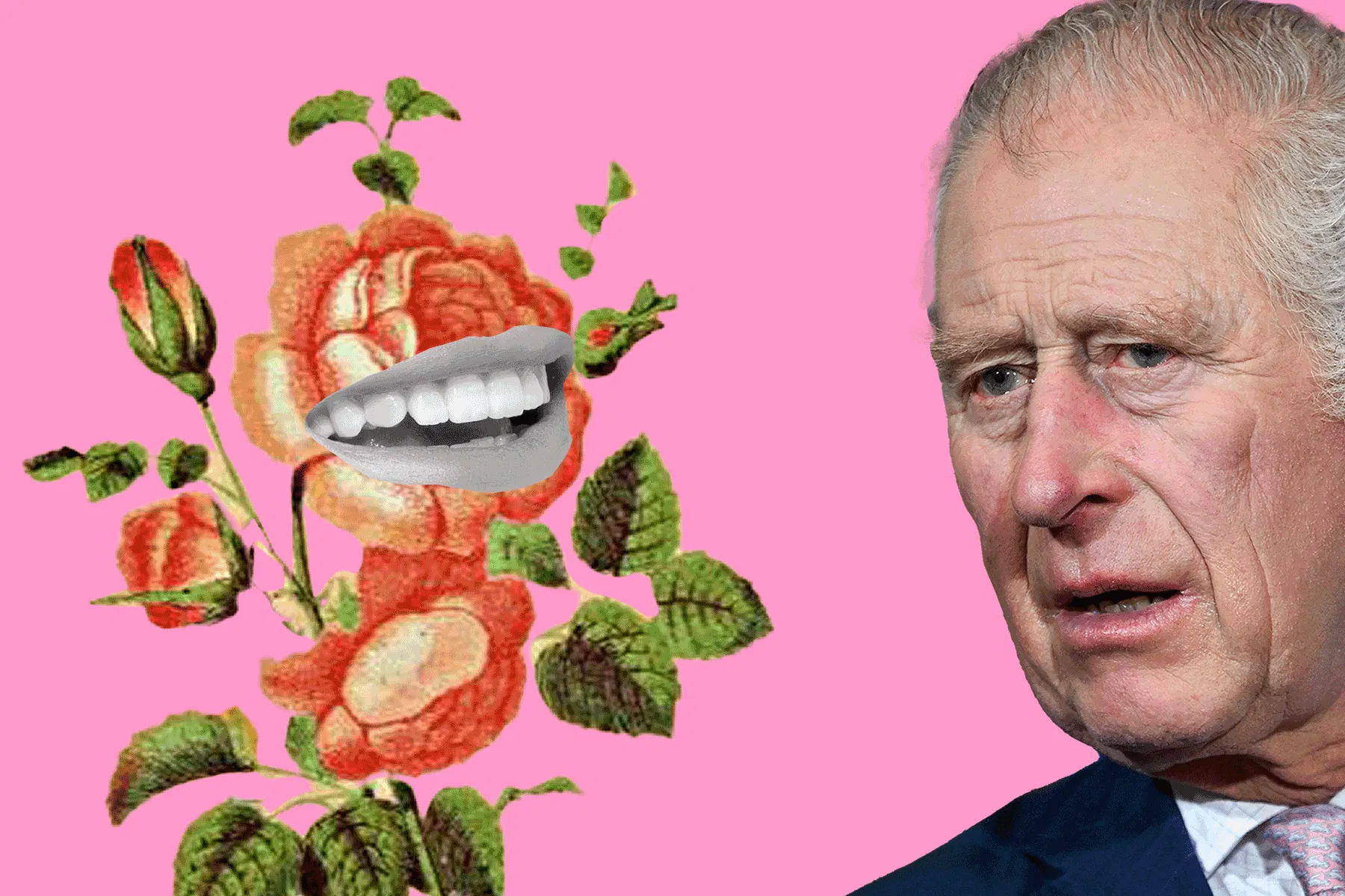 Charles III. spricht gern mit Pflanzen. Ob sie ihm wohl antworten?