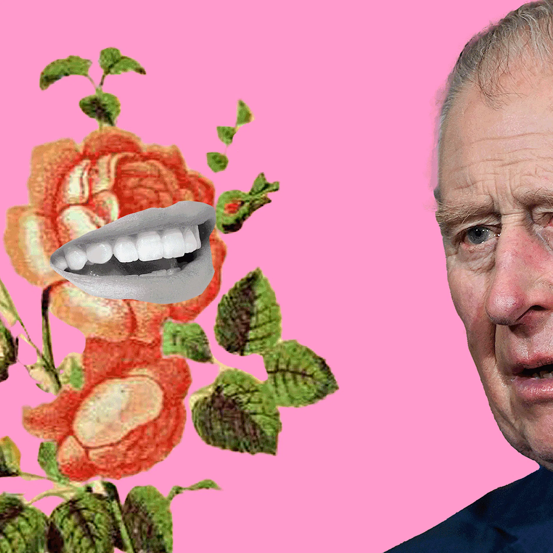 Der komische König – King Charles III. und seine Macken