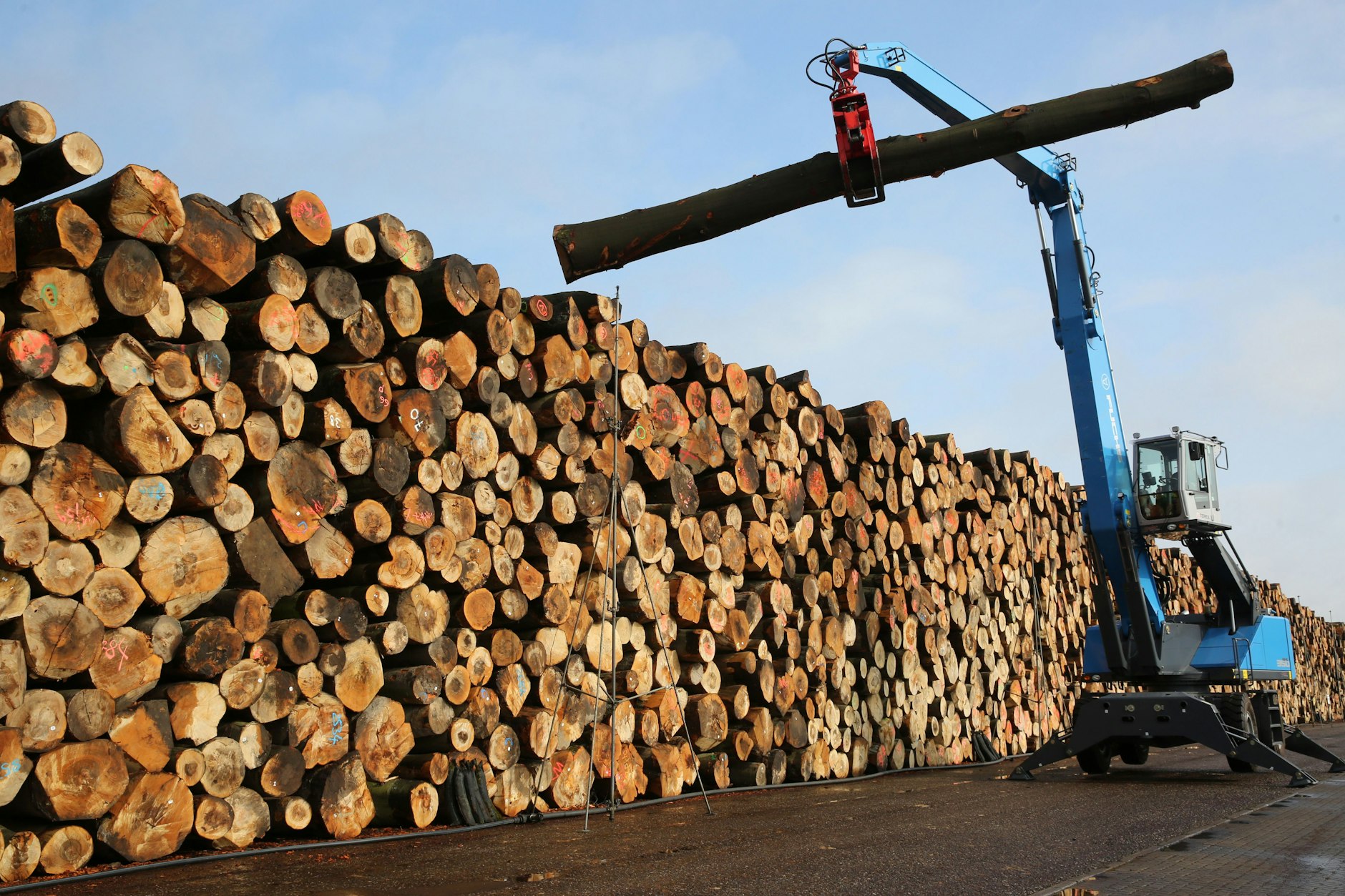 Holz für den Bau ist begehrt.