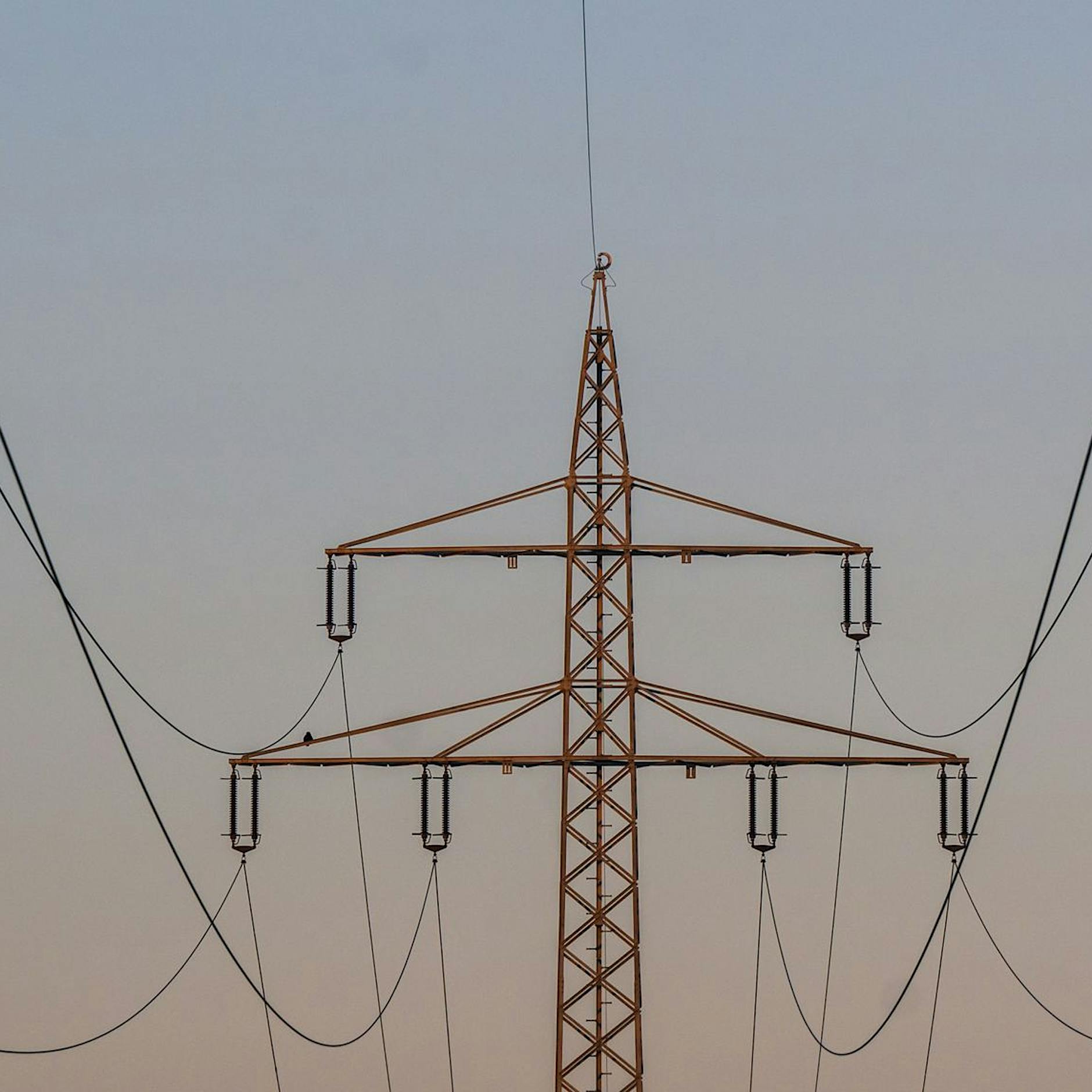 Kunden kündigen massenhaft Strom- und Gasanbieter: Warum?