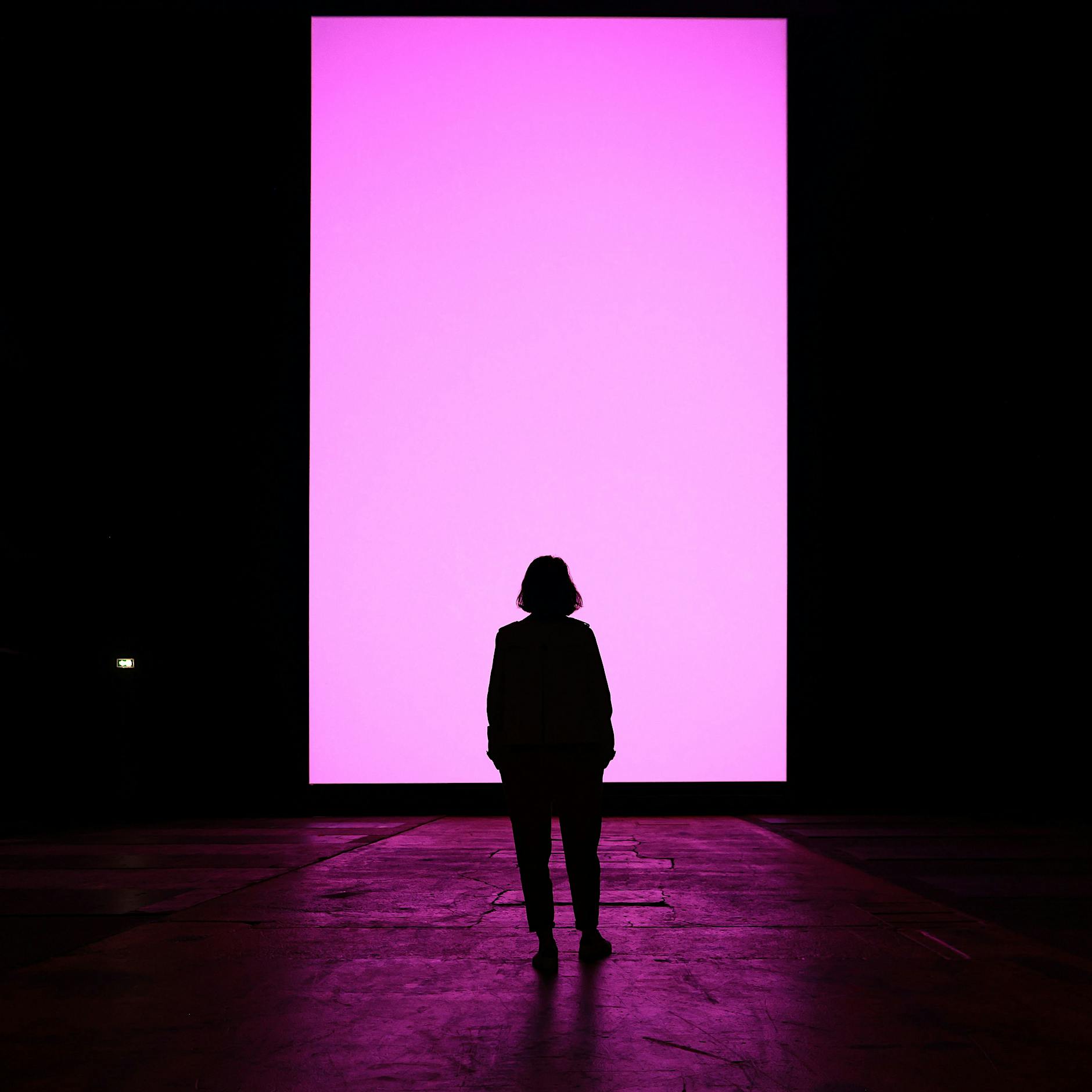 Toxischer Sponsor: Zur Förderung der „Dimensions“-Schau durch Palantir