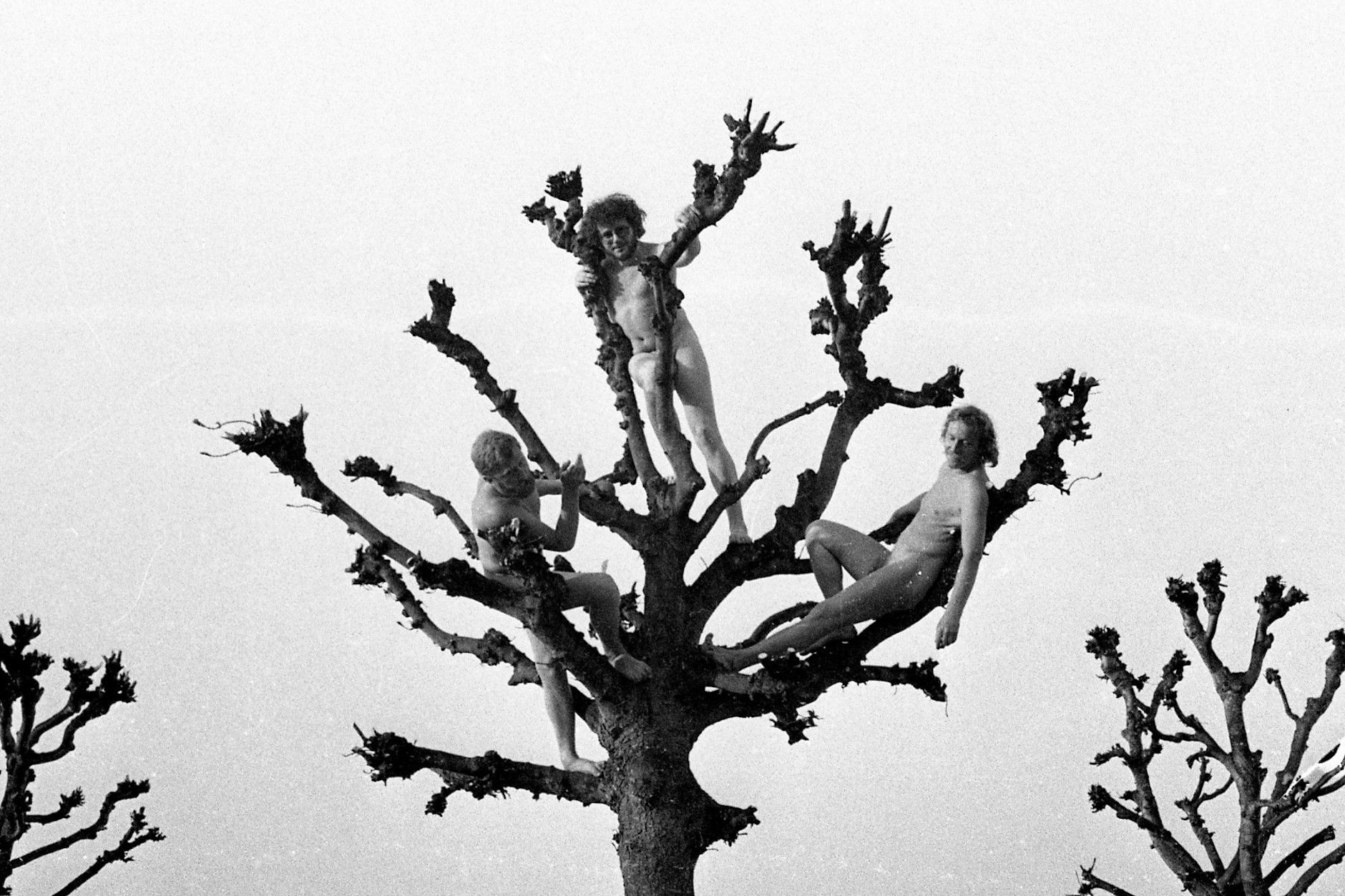 „Baumbesteigung“, Rügen 1979