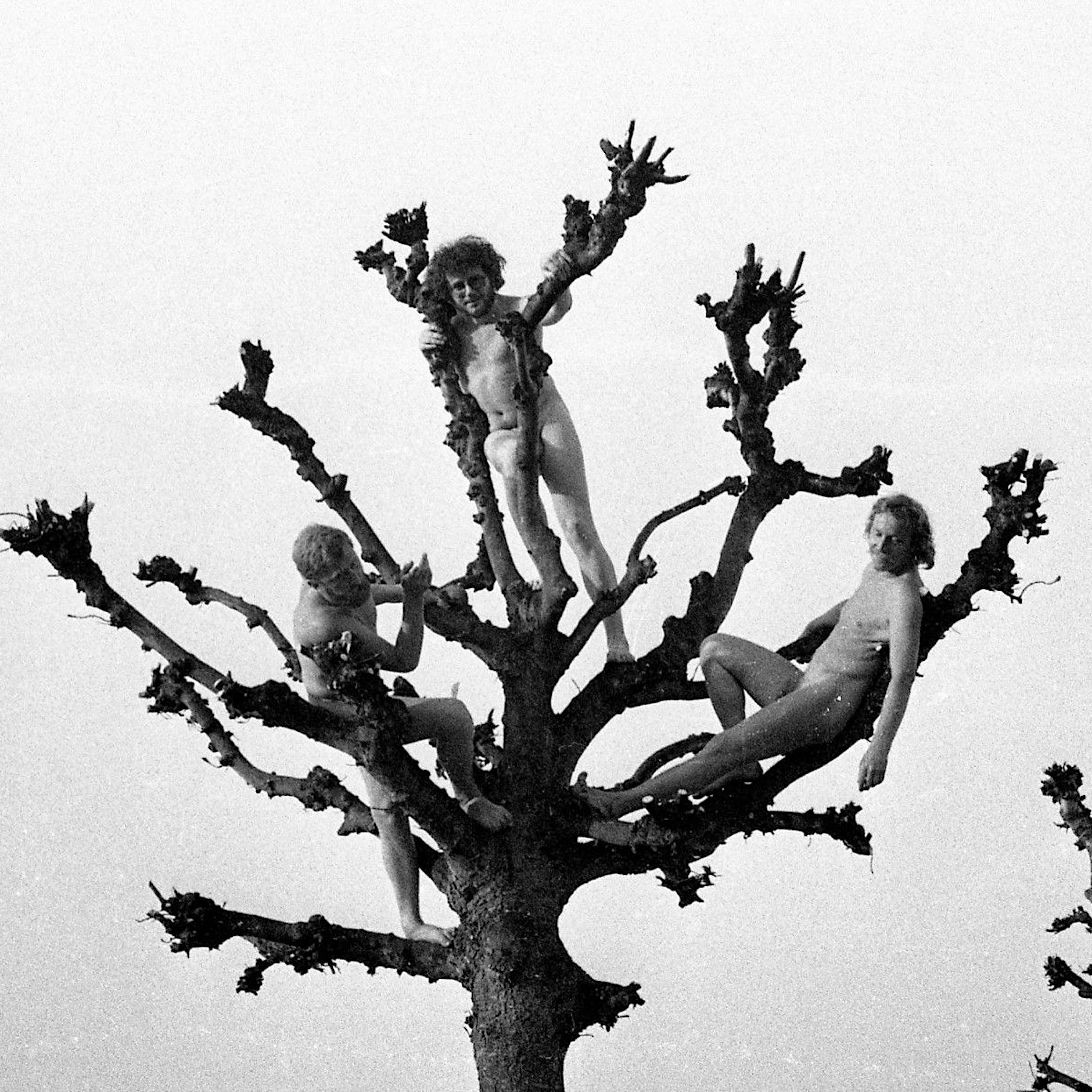 Im Argusauge der Stasi in der DDR: Wer war CLARA MOSCH?