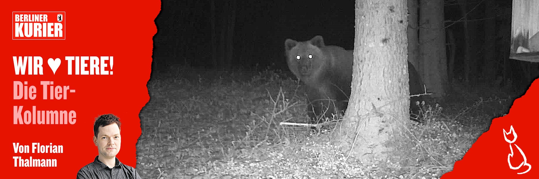 Vorsicht, Kamera! Dieser Bär tappte bei Traunstein in Bayern in eine Kamerafalle. 