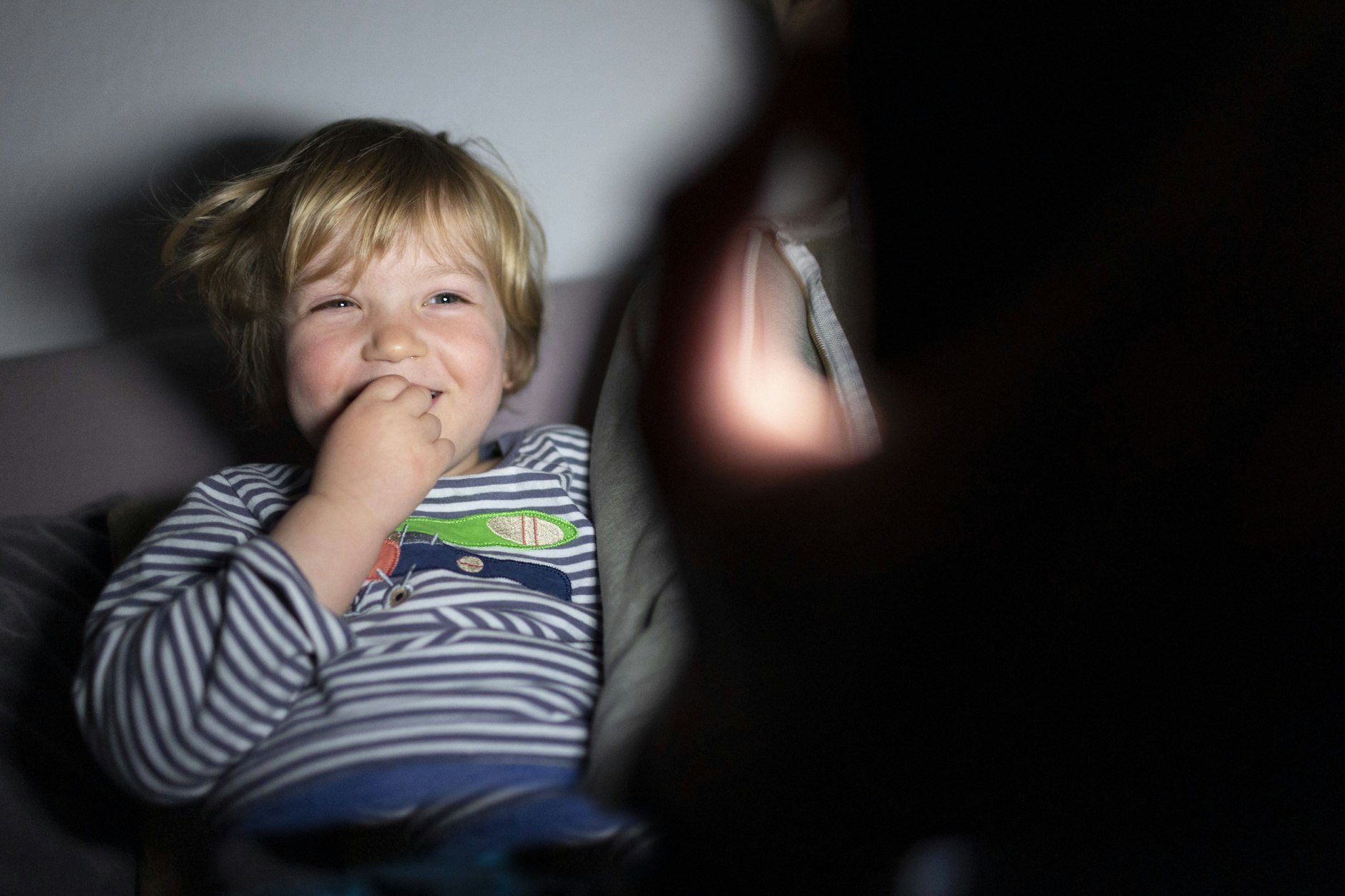 Wegen eines Penis-Skandals bei Biene Maja nahm Netflix die Folge Der schleimlose Heinz aus dem Programm.