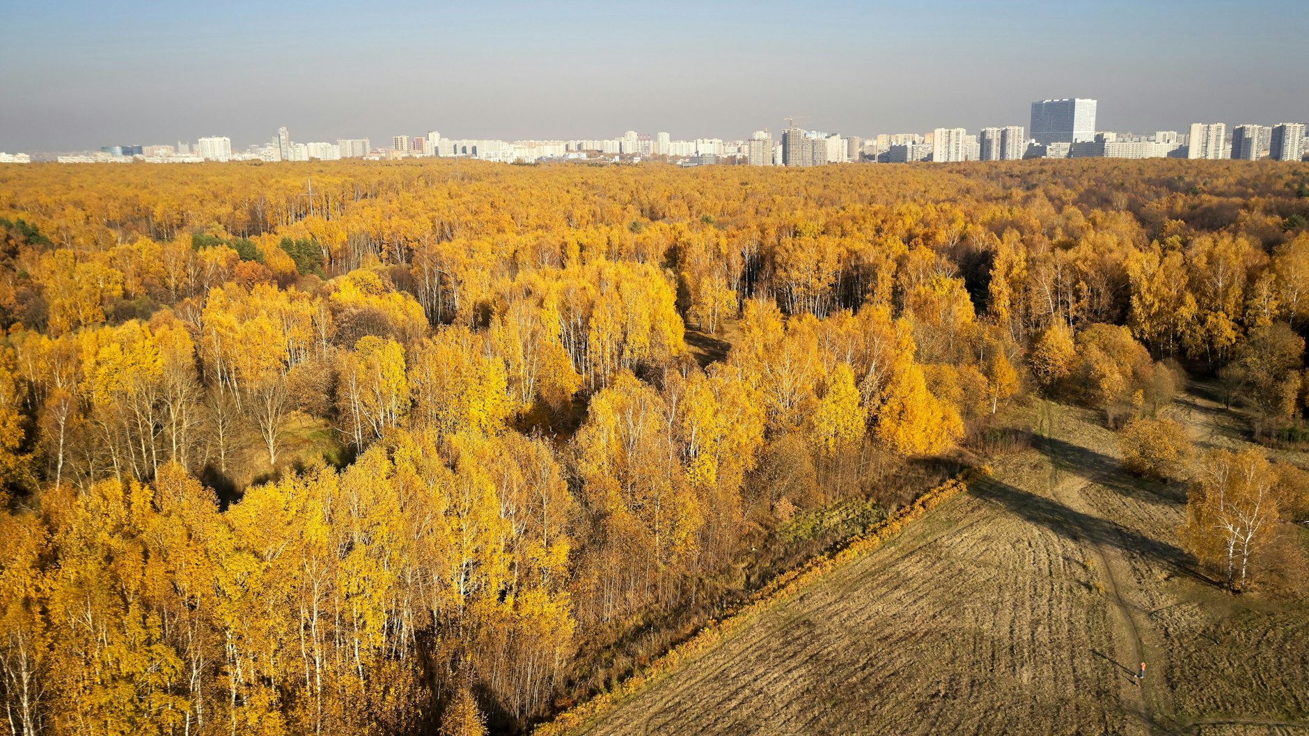 Seine Opfer tötete der Schachbrettmörder vor den Toren von Moskau.