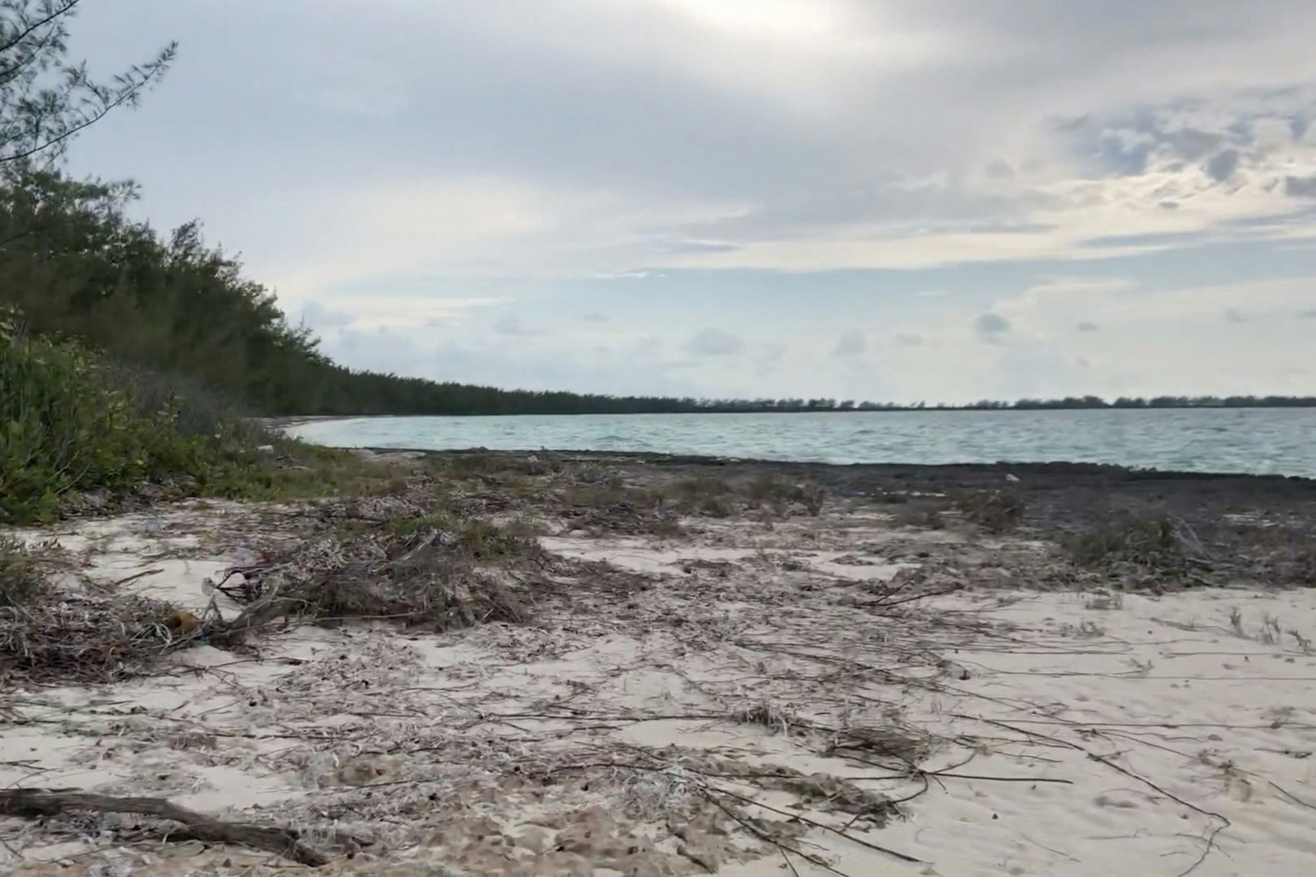 Kein weißer Traumstrand mit Palmen, stattdessen ein natürlicher Sandstreifen und Meer: So sieht die Ernst-Thälmann-Insel in der Karibik aus, die Kuba der DDR schenkte.