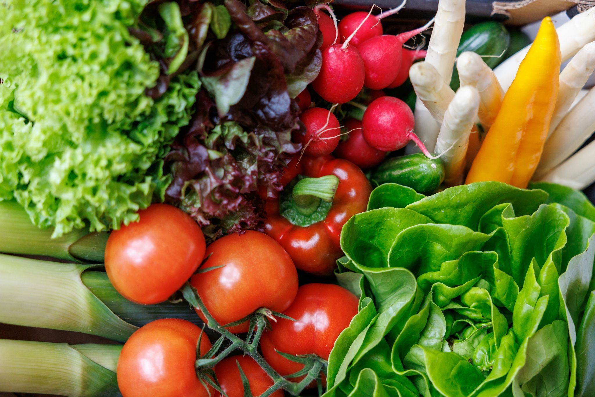 Bürgerräte zwischen Koalition und Union umstritten