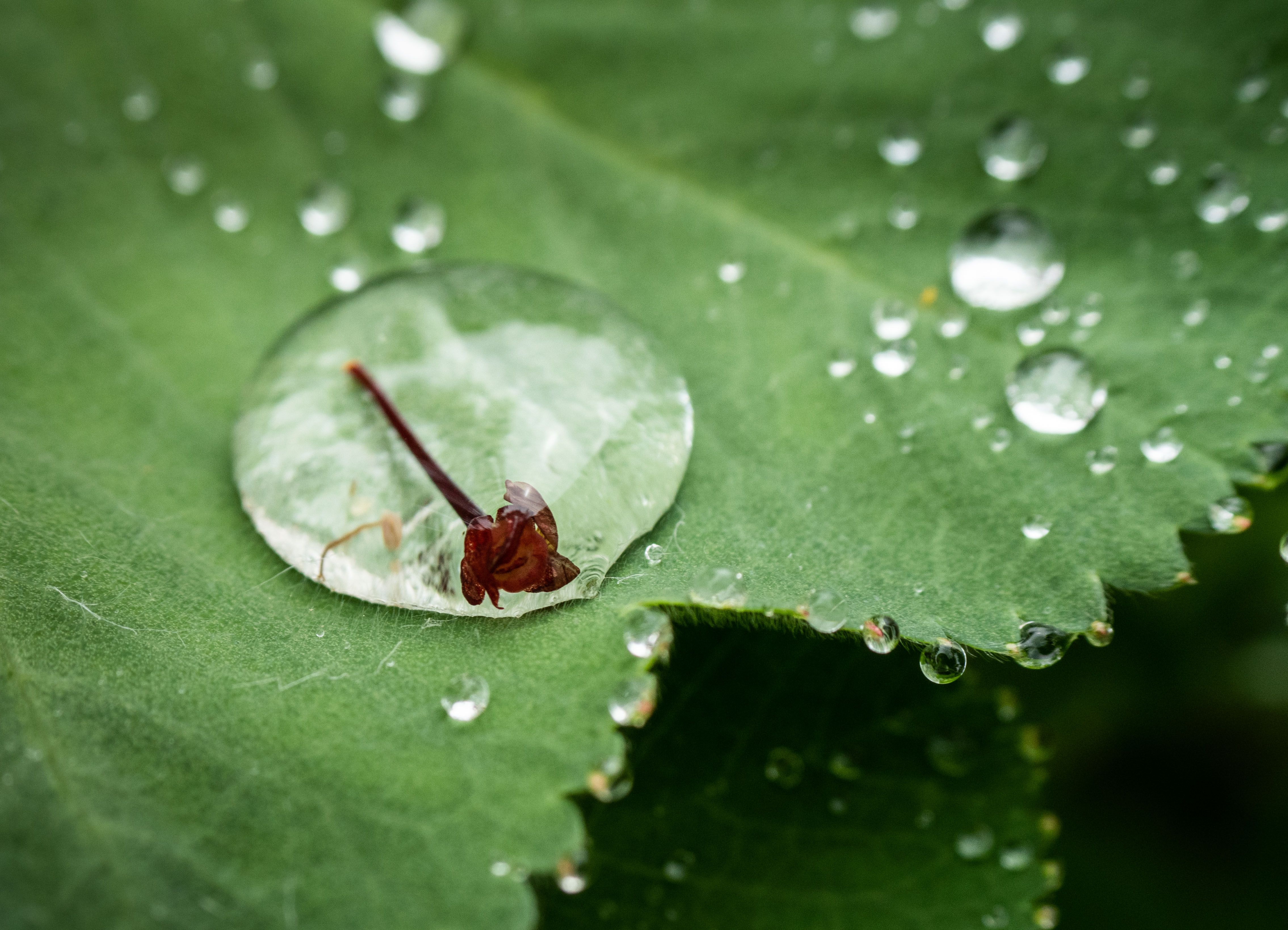 Katastrophen-Wetter! Monster-Unwetter an Muttertag  möglich!