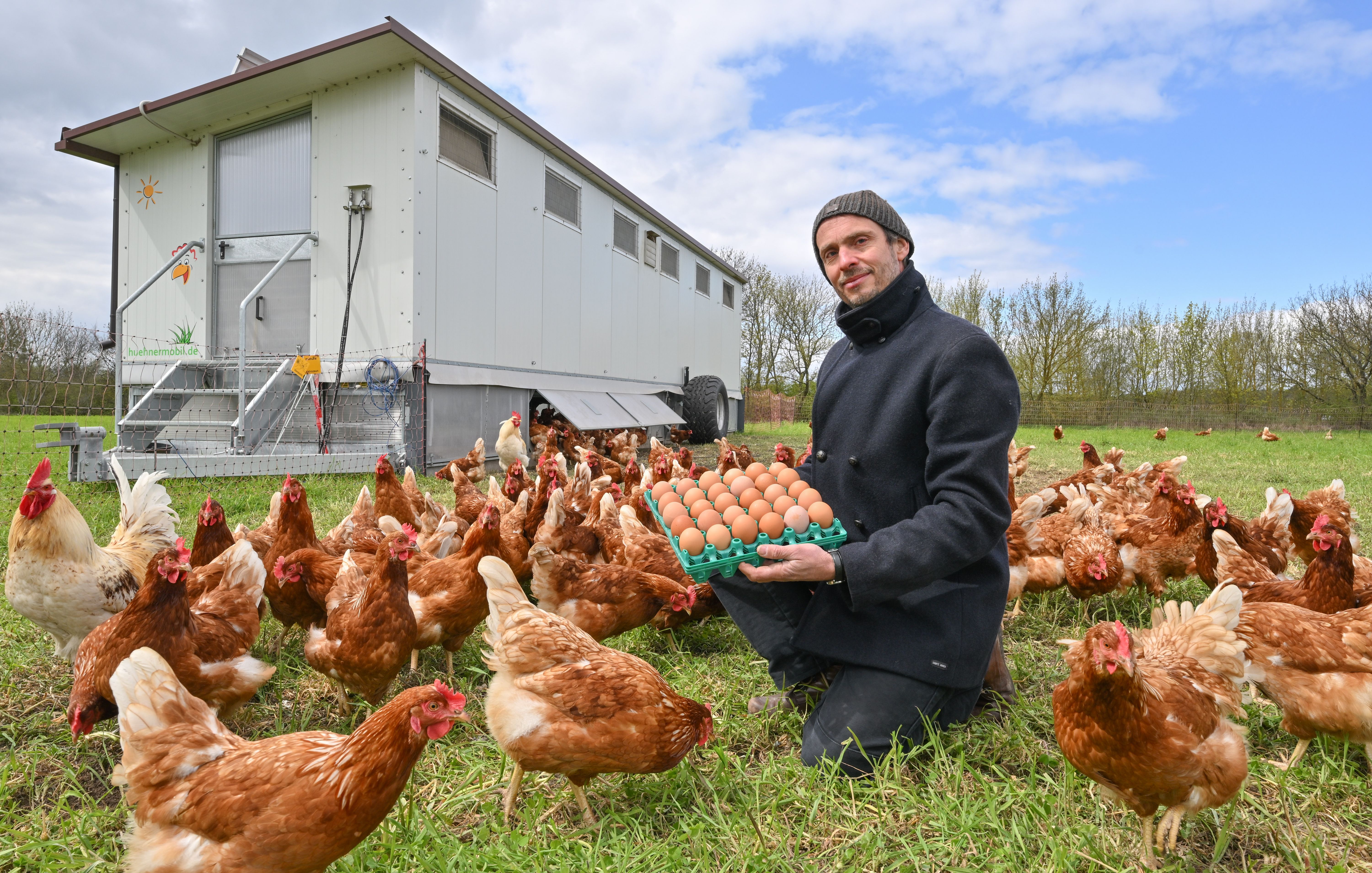 Image - Bürgergut Börnicke: Von Hühnern und Hühnerpaten