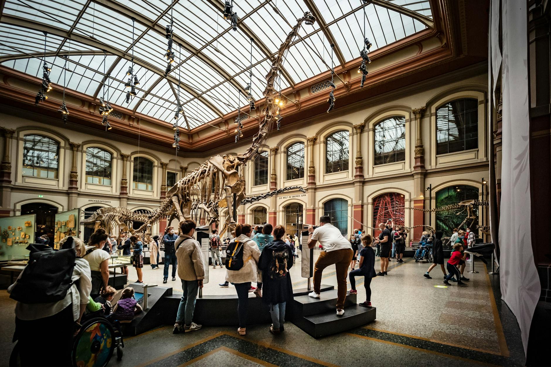 Das Naturkundemuseum in Mitte ist eines der beliebtesten Museen der Stadt, aber nicht unter den Top 3.