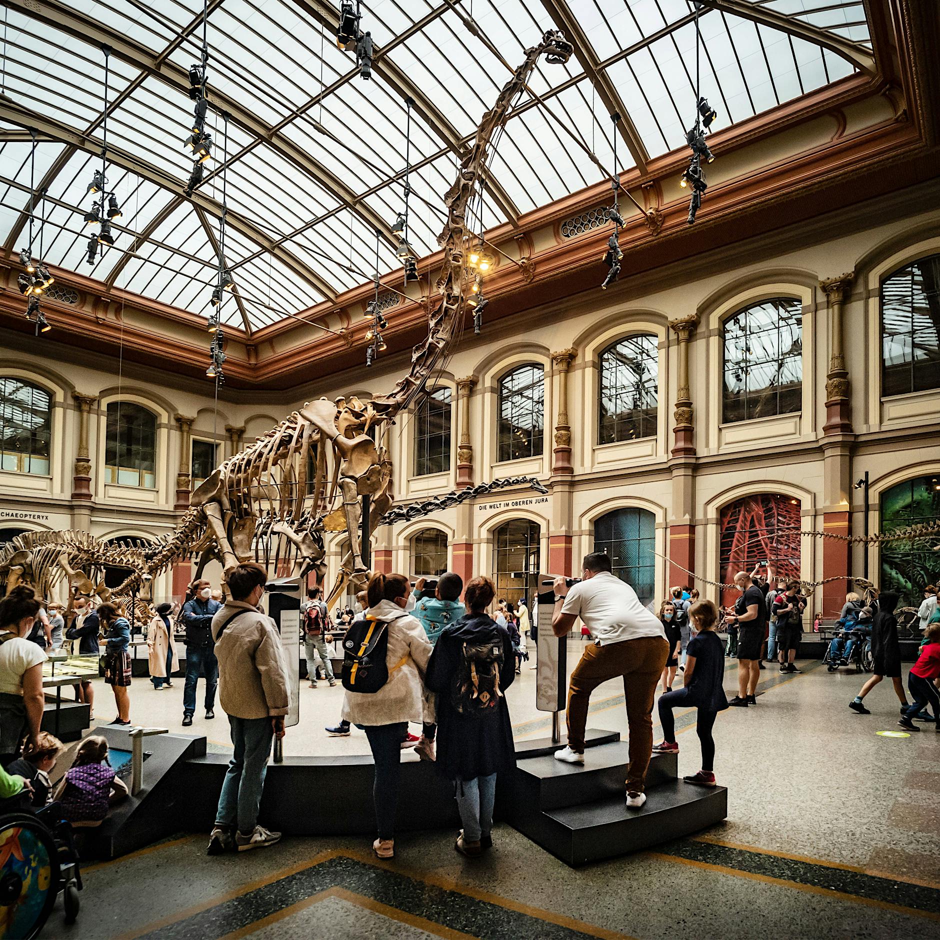 Das sind Berlins meistbesuchte Museen: Kennen Sie alle?