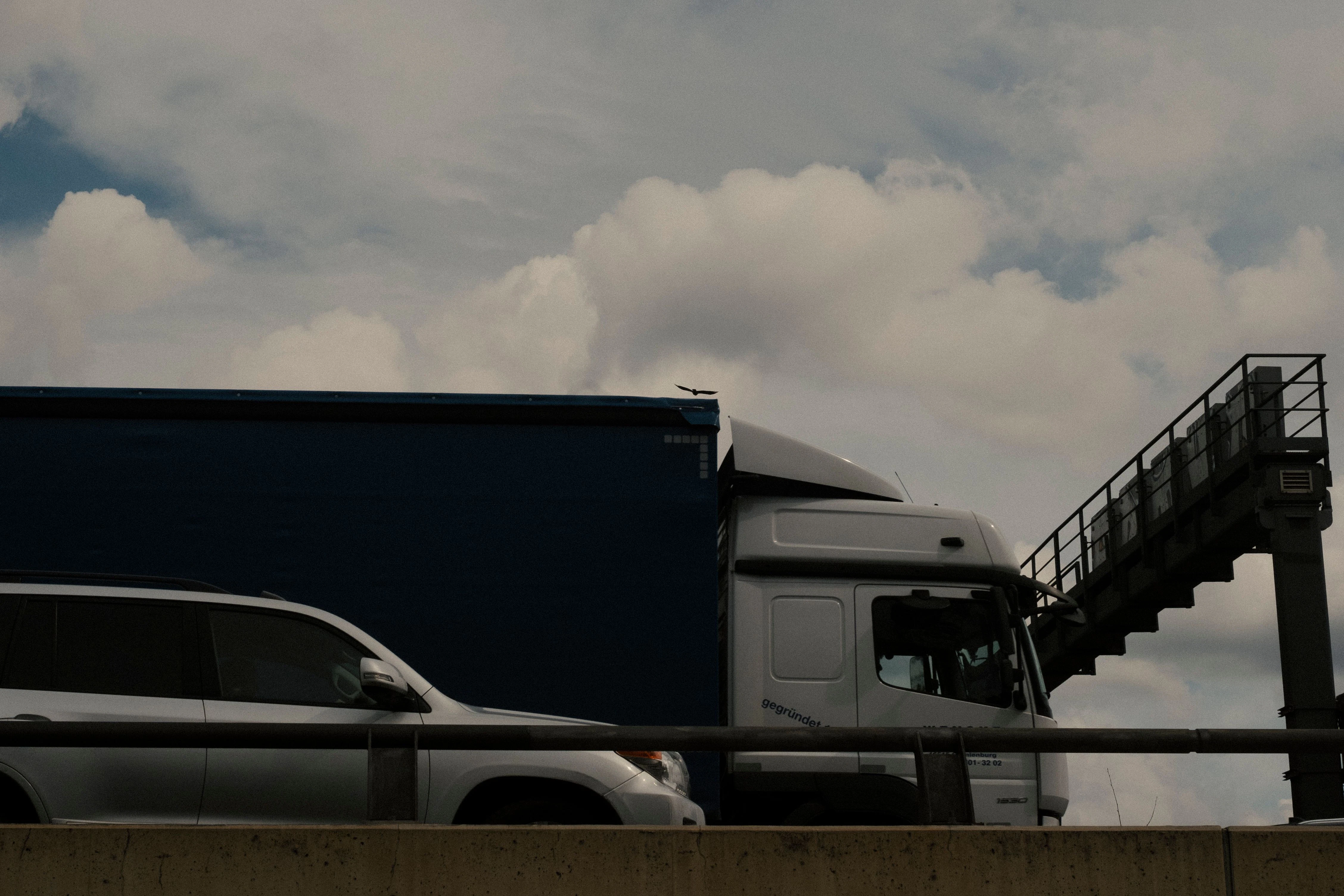 Ein Vogel fliegt über die Berliner Stadtautobahn.
