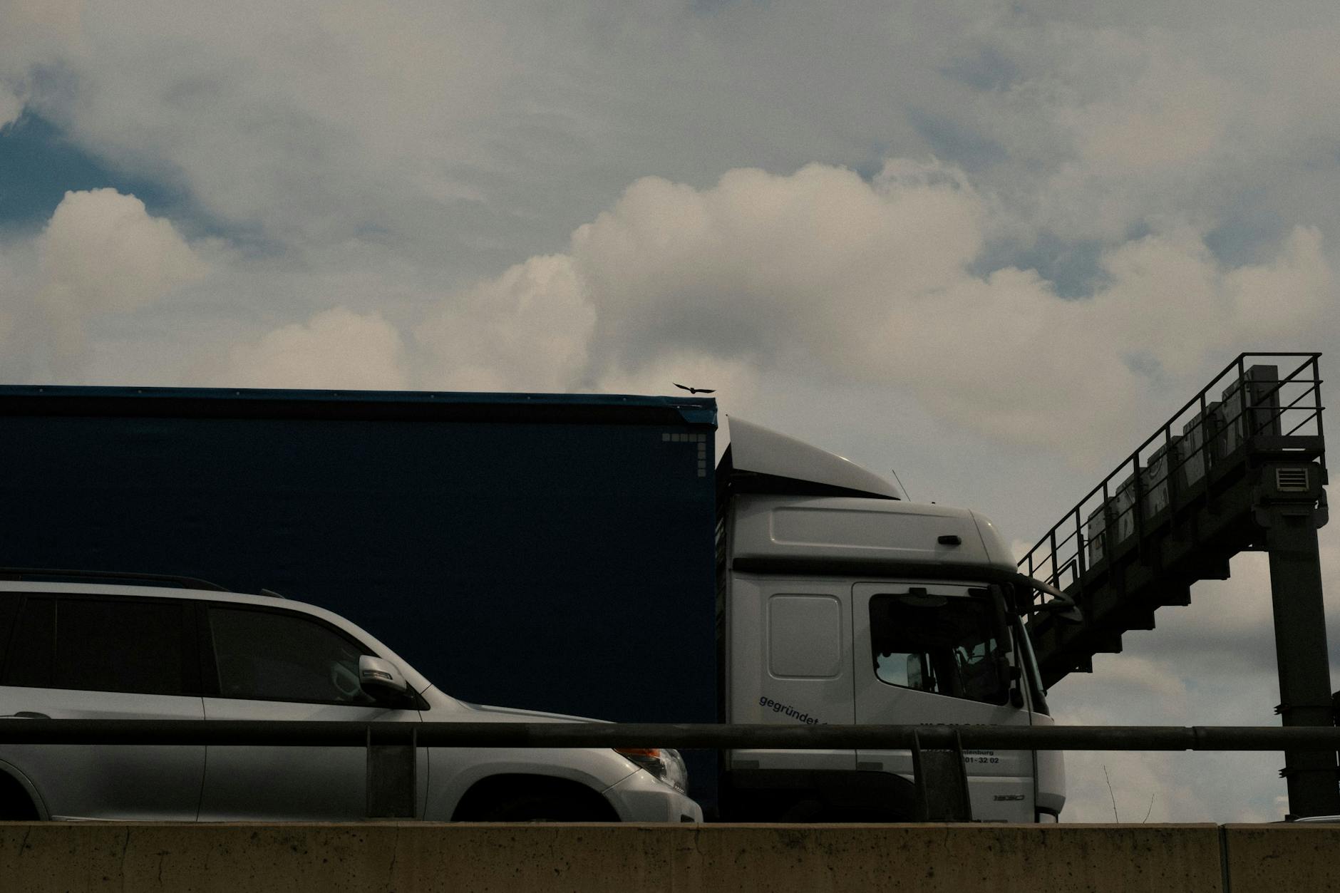 Ein Vogel fliegt über die Berliner Stadtautobahn.