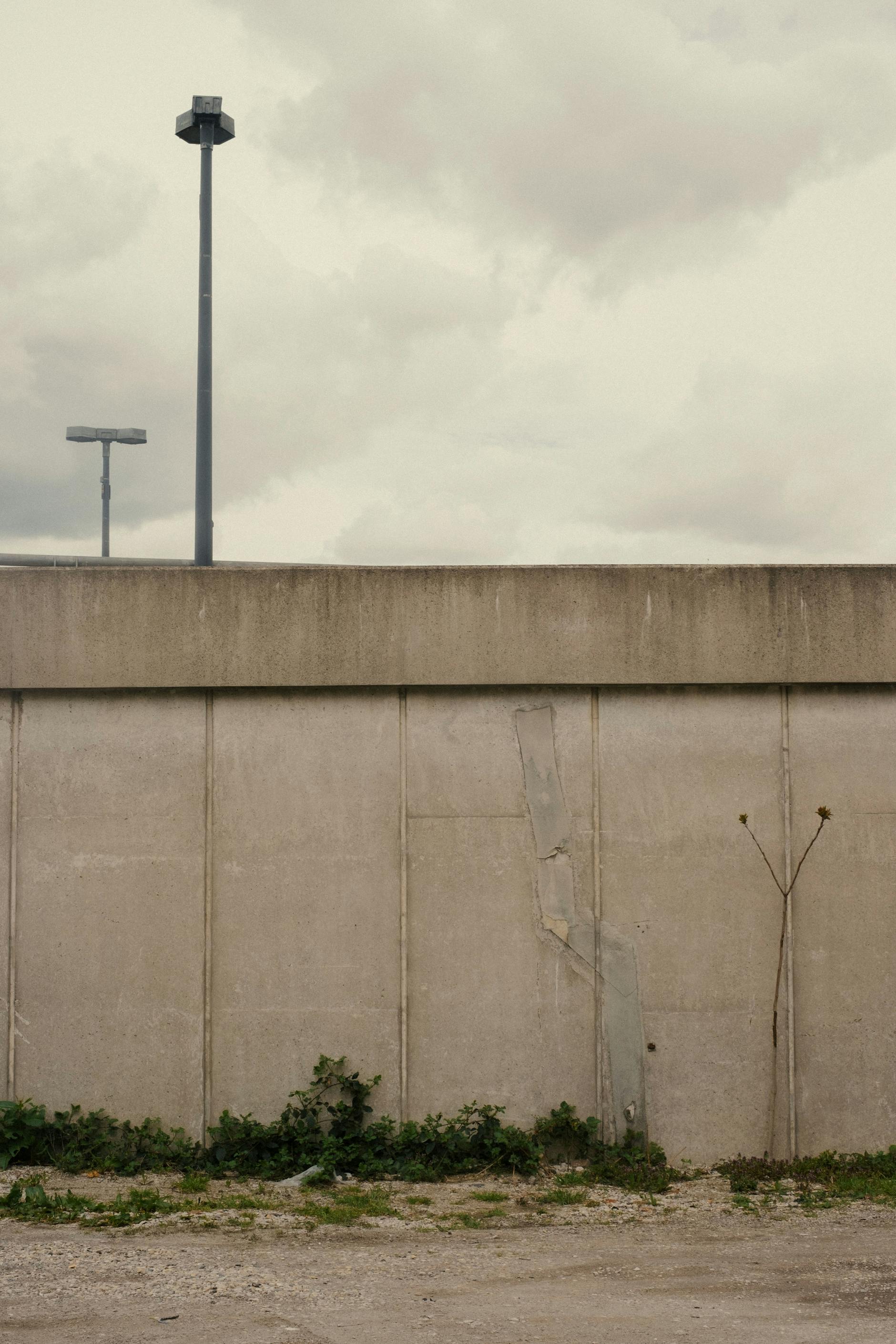 Blumen an der Autobahn.