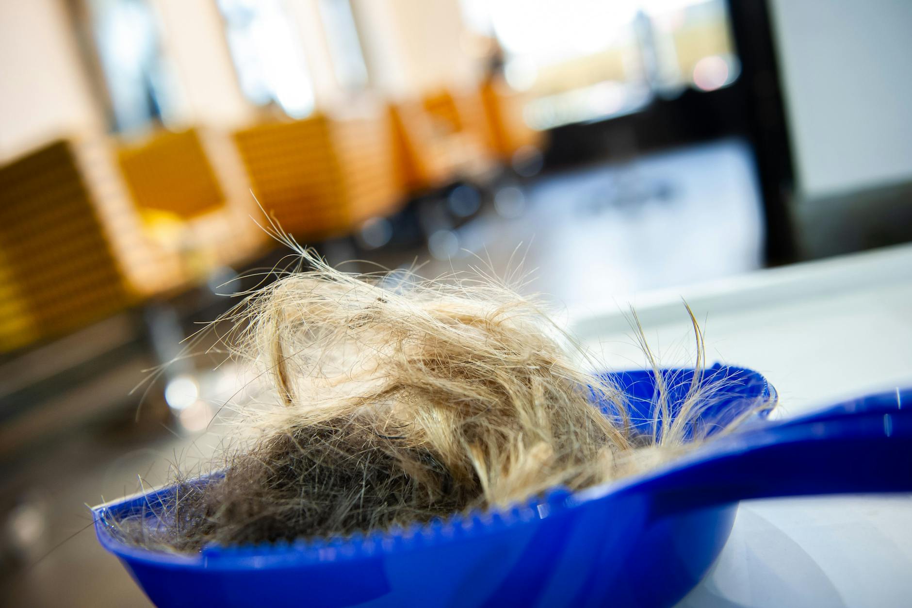 Jede Menge Haare fallen beim Frisör an. Zeit, etwas Nützliches damit anzustellen.