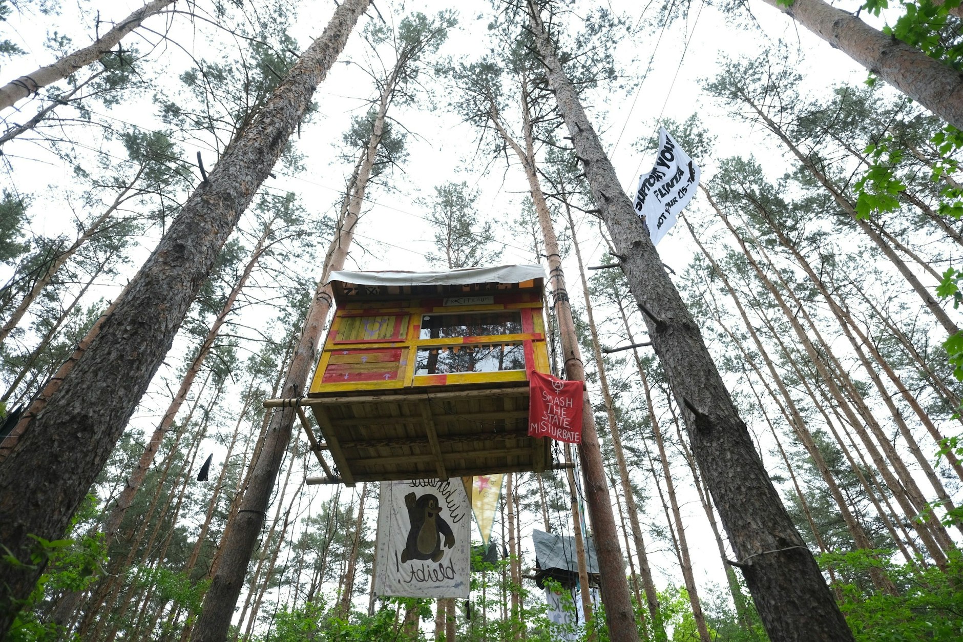 Aktivisten bauen Baumhäuser und Sperranlagen gegen Räumung durch die Polizei.