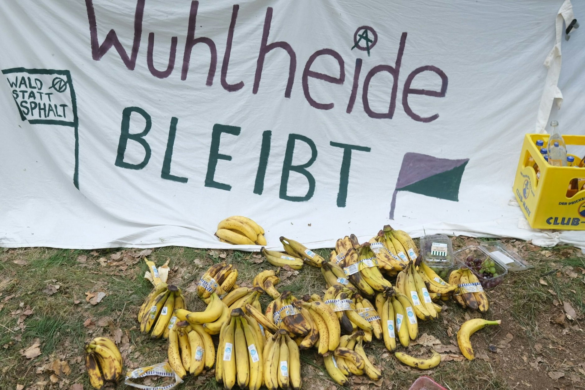 Die Aktivisten bereiten sich auf einen längeren Protest vor, und haben sich mit Nahrungsmitteln eingedeckt.
