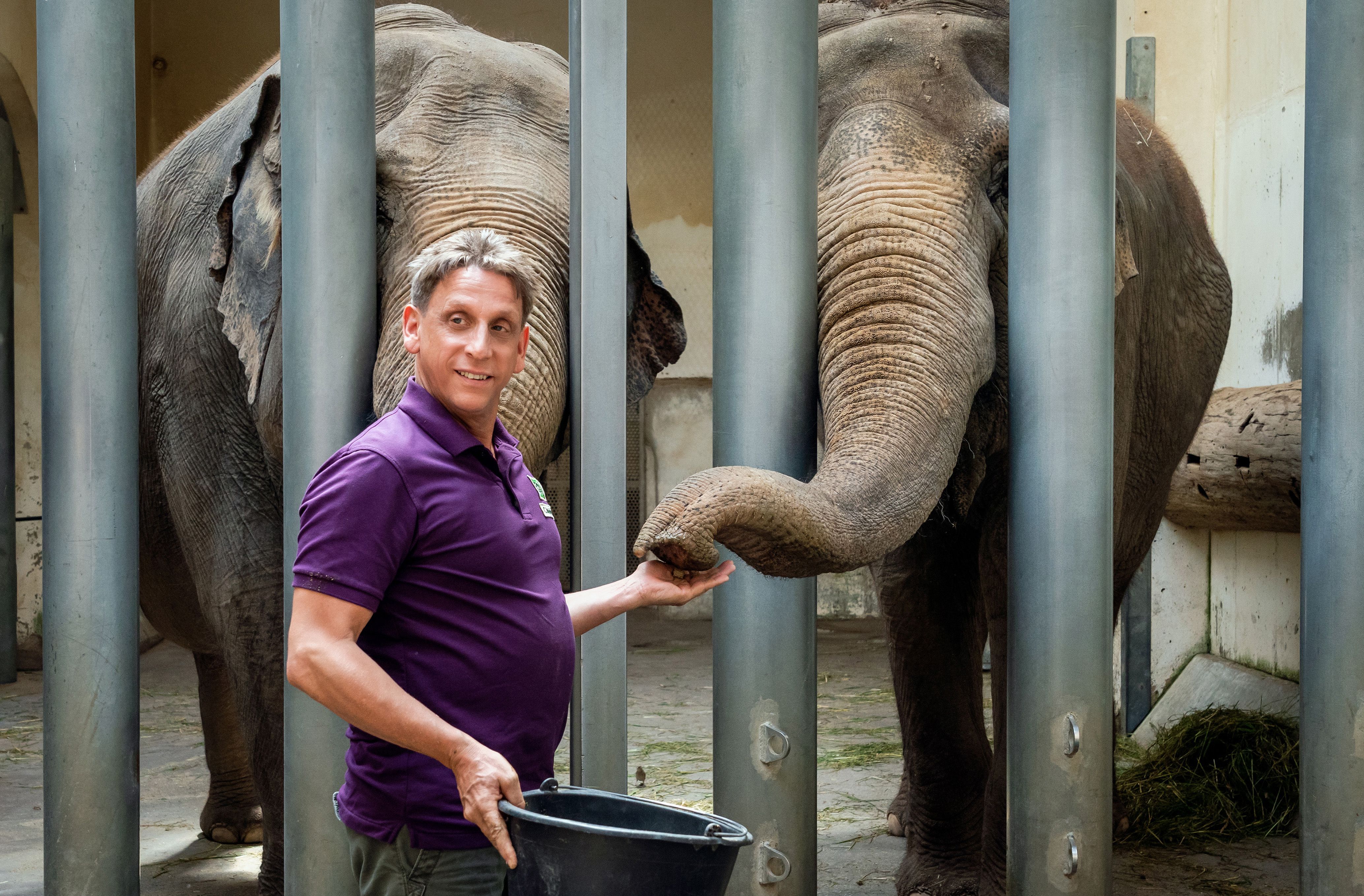 Image - „Tierärztin Dr. Mertens“-Star Thorsten Wolf verrät: SO gefährlich ist es am Set