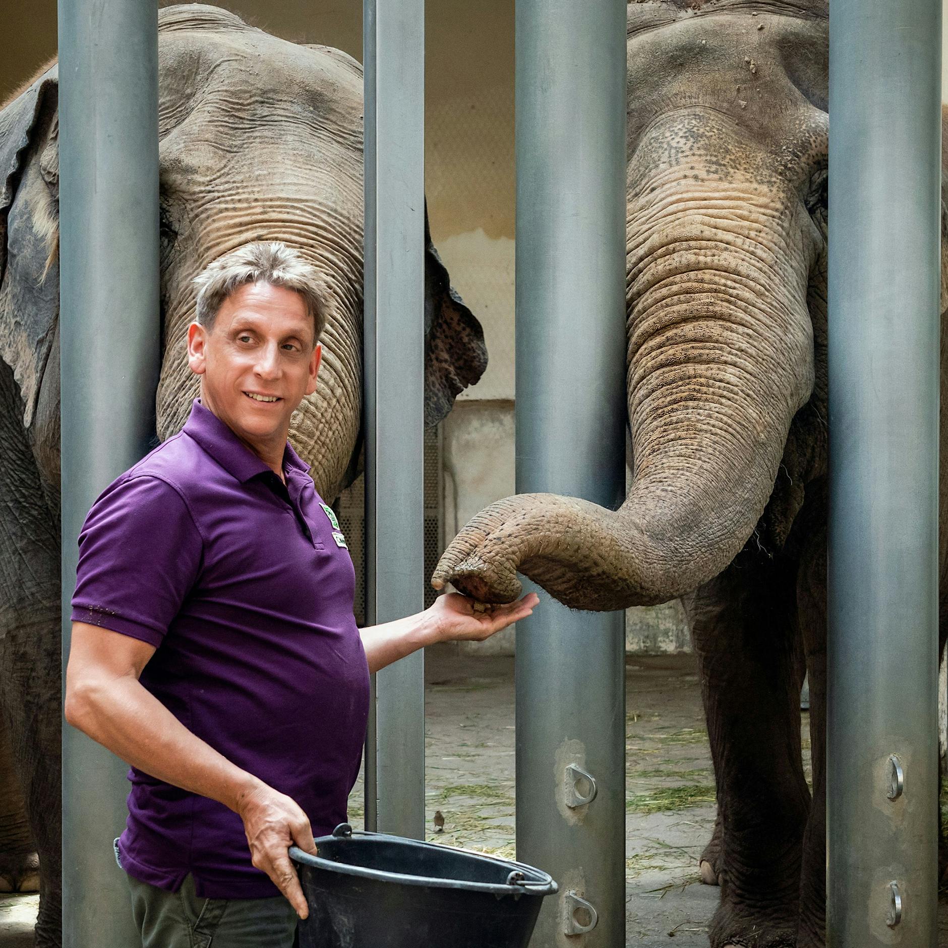 „Tierärztin Dr. Mertens“-Star Thorsten Wolf verrät: SO gefährlich ist es am Set