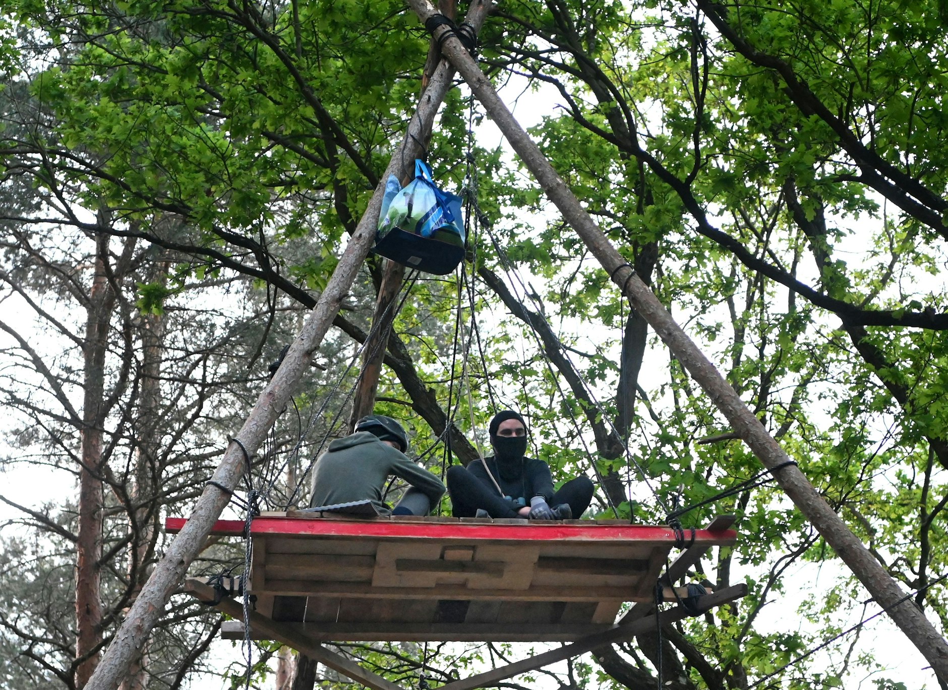 Aktivisten sitzen auf einer Plattform in einem Waldstück in der Wuhlheide.