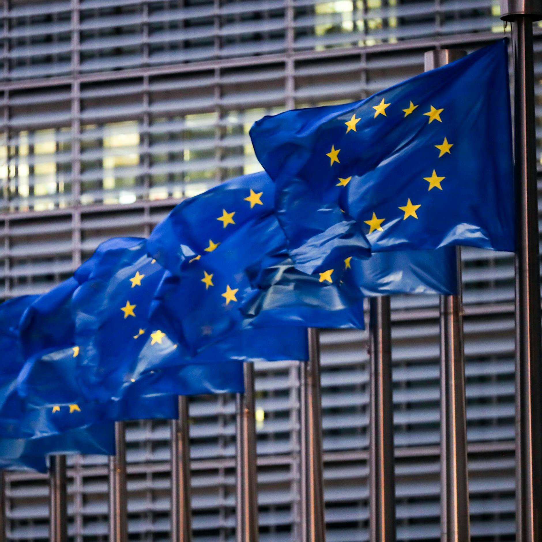 Nächste Europawahl findet vom 6. bis 9. Juni 2024 statt