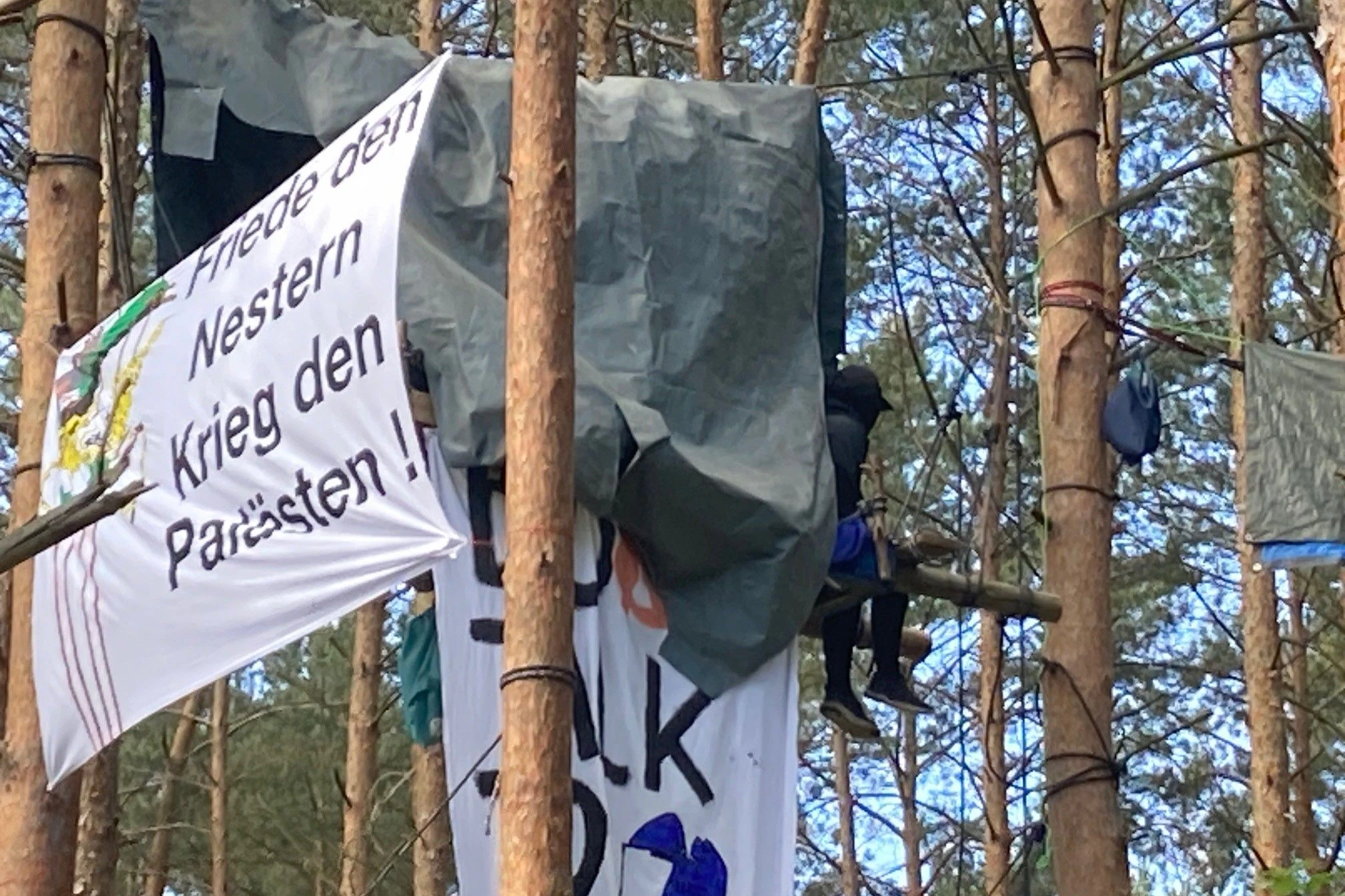 Dieser Besetzer harrte in rund zehn Metern Höhe aus.