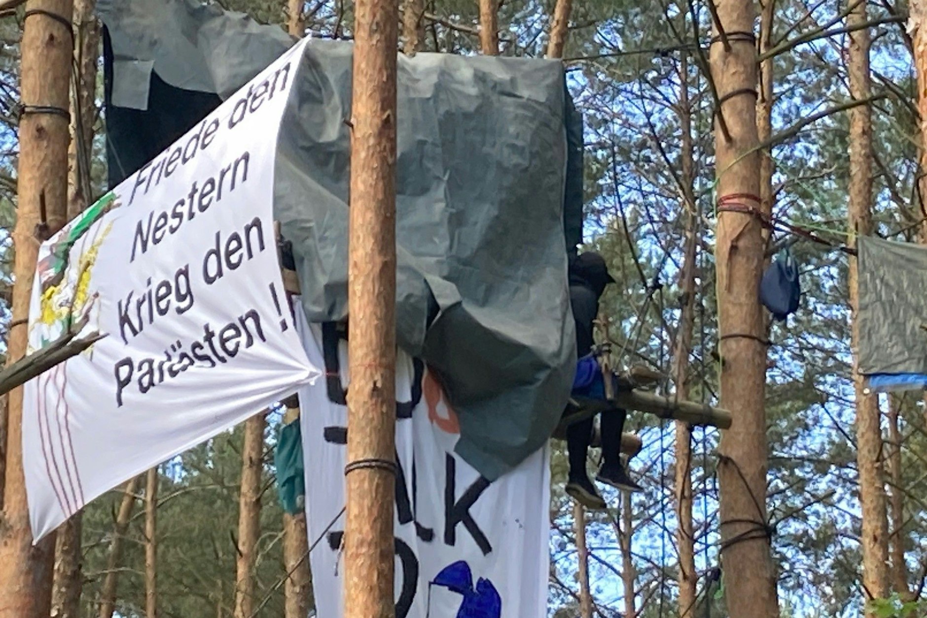 Dieser Besetzer harrte in rund zehn Metern Höhe aus.