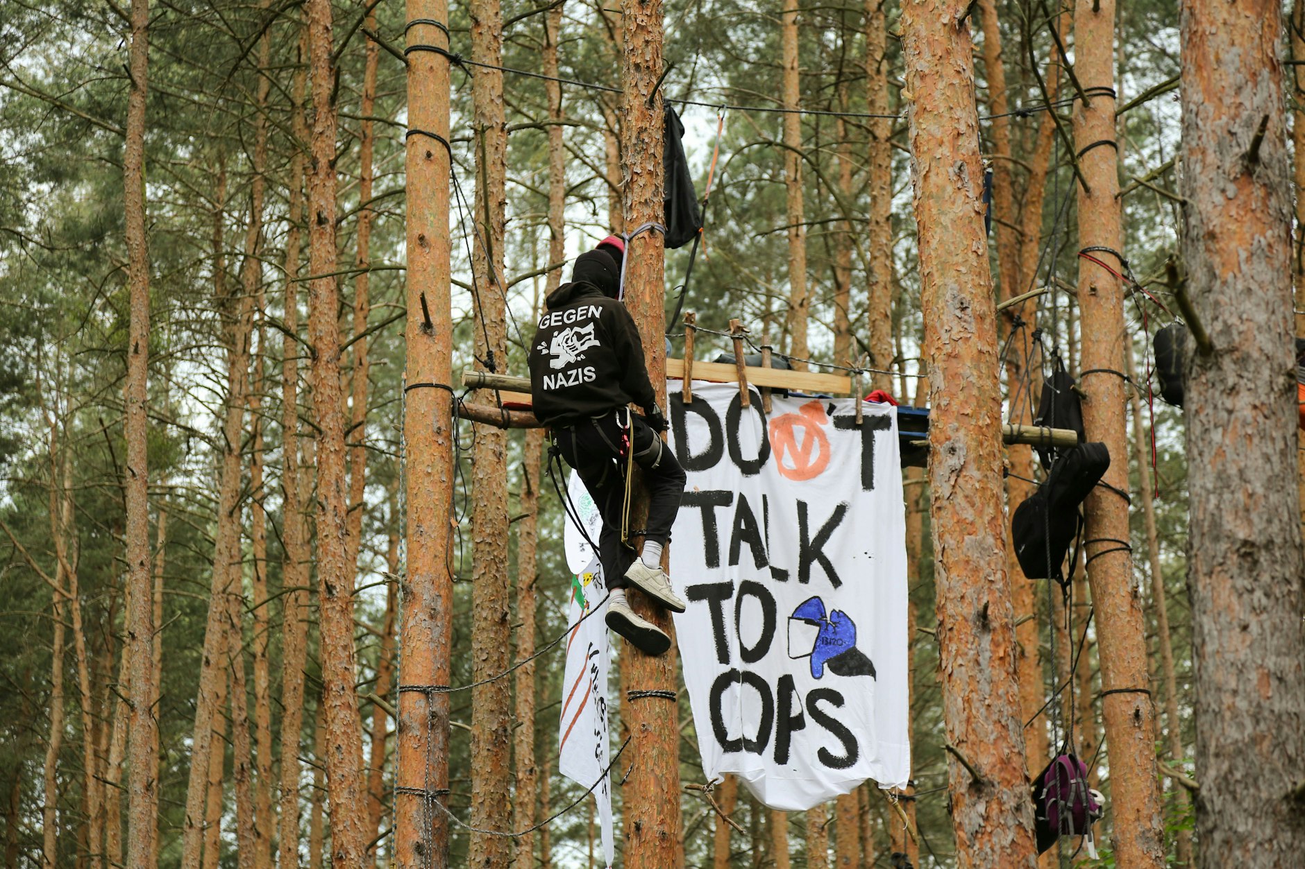 In der Wuhlheide haben Aktivisten ein mehr als 20 Fußballfelder großes Waldstück besetzt. Sie wollen so den Bau der Tangentiale-Verbindung-Ost verhindern.
