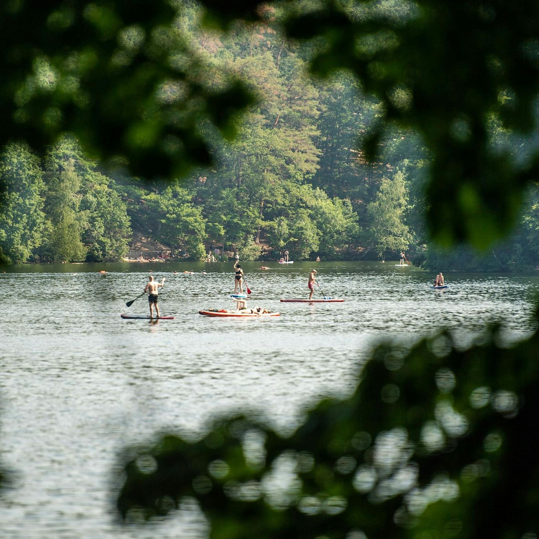 Die Top 5 Seen in und um Berlin: Badespaß und Co im städtischen Sommer