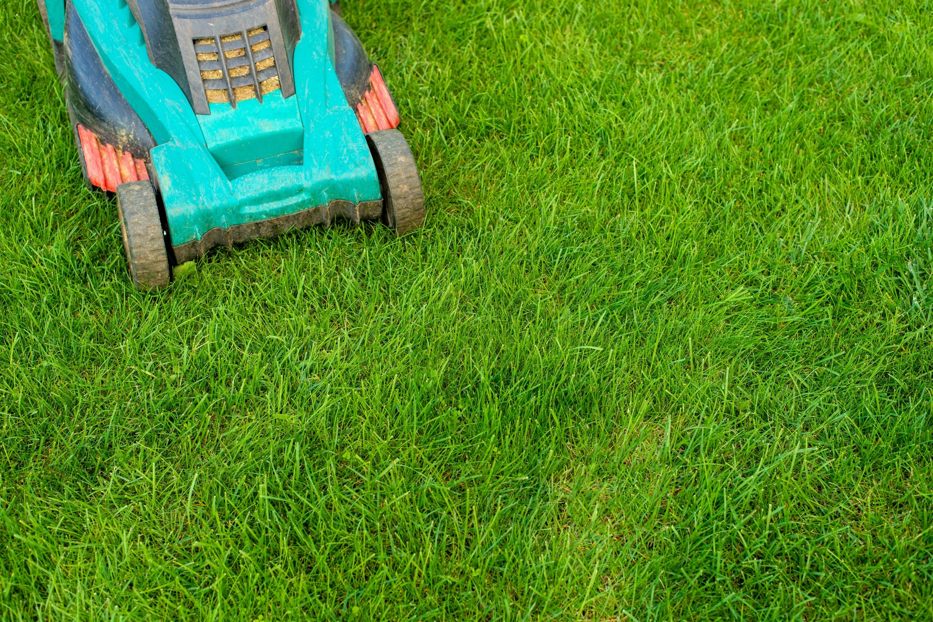 Im Frühjahr wird in vielen Gärten der Rasen gemäht – aber warum riecht frisch gemähtes Gras so gut?