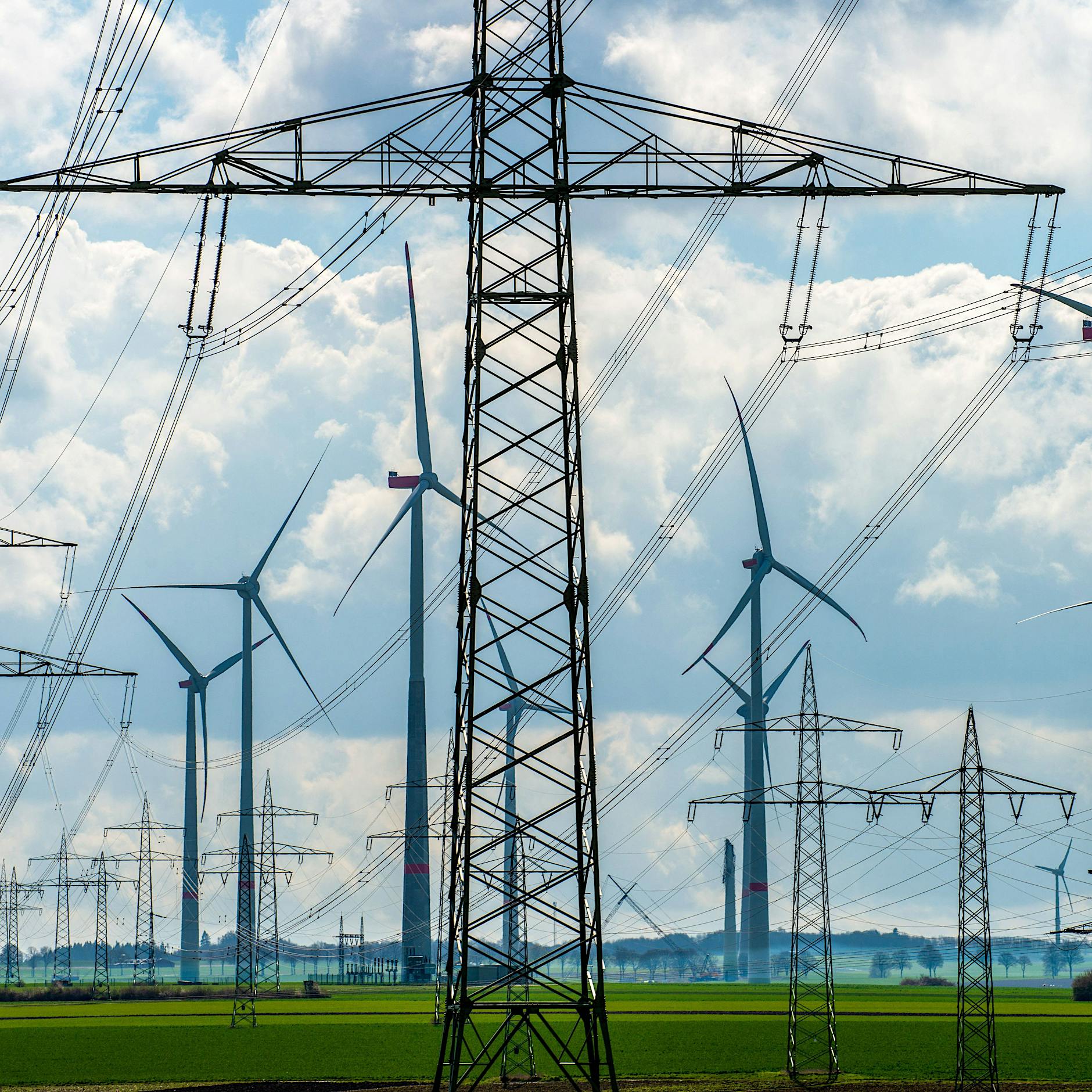 „Der Mehrwert von Ökostrom-Tarifen ist gering“: Kaufen Kunden die Katze im Sack?