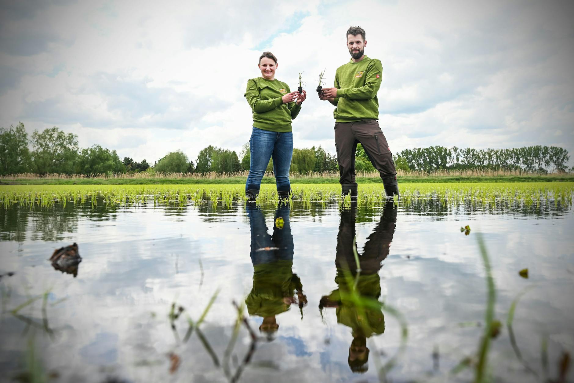 Linumer Bruch, das wohl nördlichste Anbaugebiet von Reis in Europa: Wiebke Fuchs (33) und Robert Jäkel (32) bei den jungen Reispflanzen. 