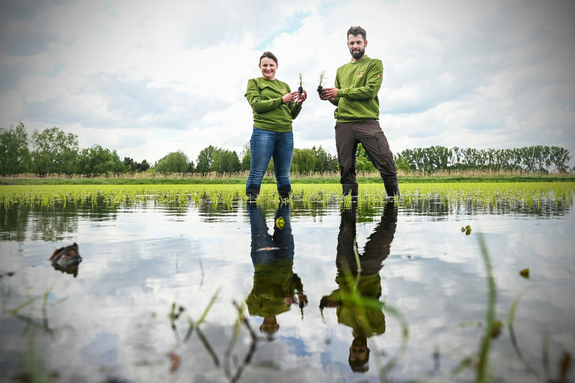 Linumer Bruch, das wohl nördlichste Anbaugebiet von Reis in Europa: Wiebke Fuchs (33) und Robert Jäkel (32) bei den jungen Reispflanzen.&nbsp;