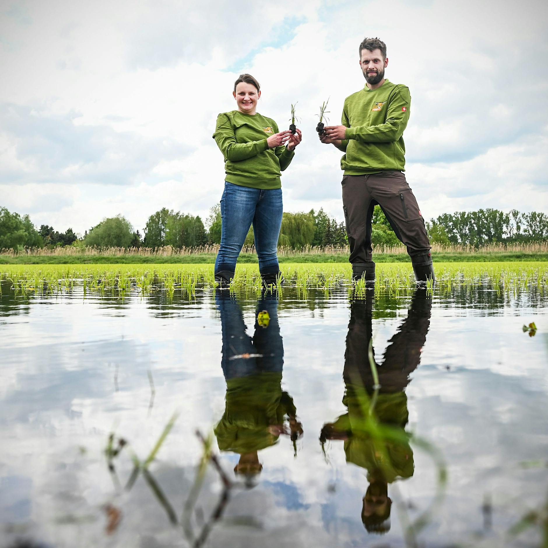 Das sind die Reis-Pioniere von Linum
