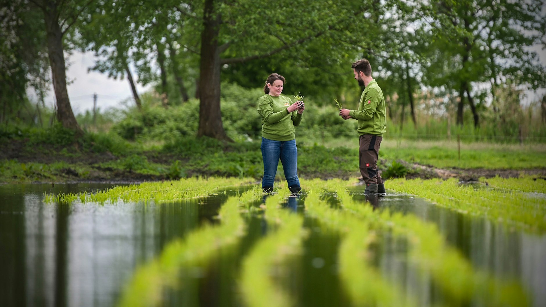 Das wohl nördlichste Anbaugebiet von Reis in Europa: Geschäftsführerin Wiebke Fuchs (33) und Betriebsleiter Robert Jäkel (32).&nbsp;