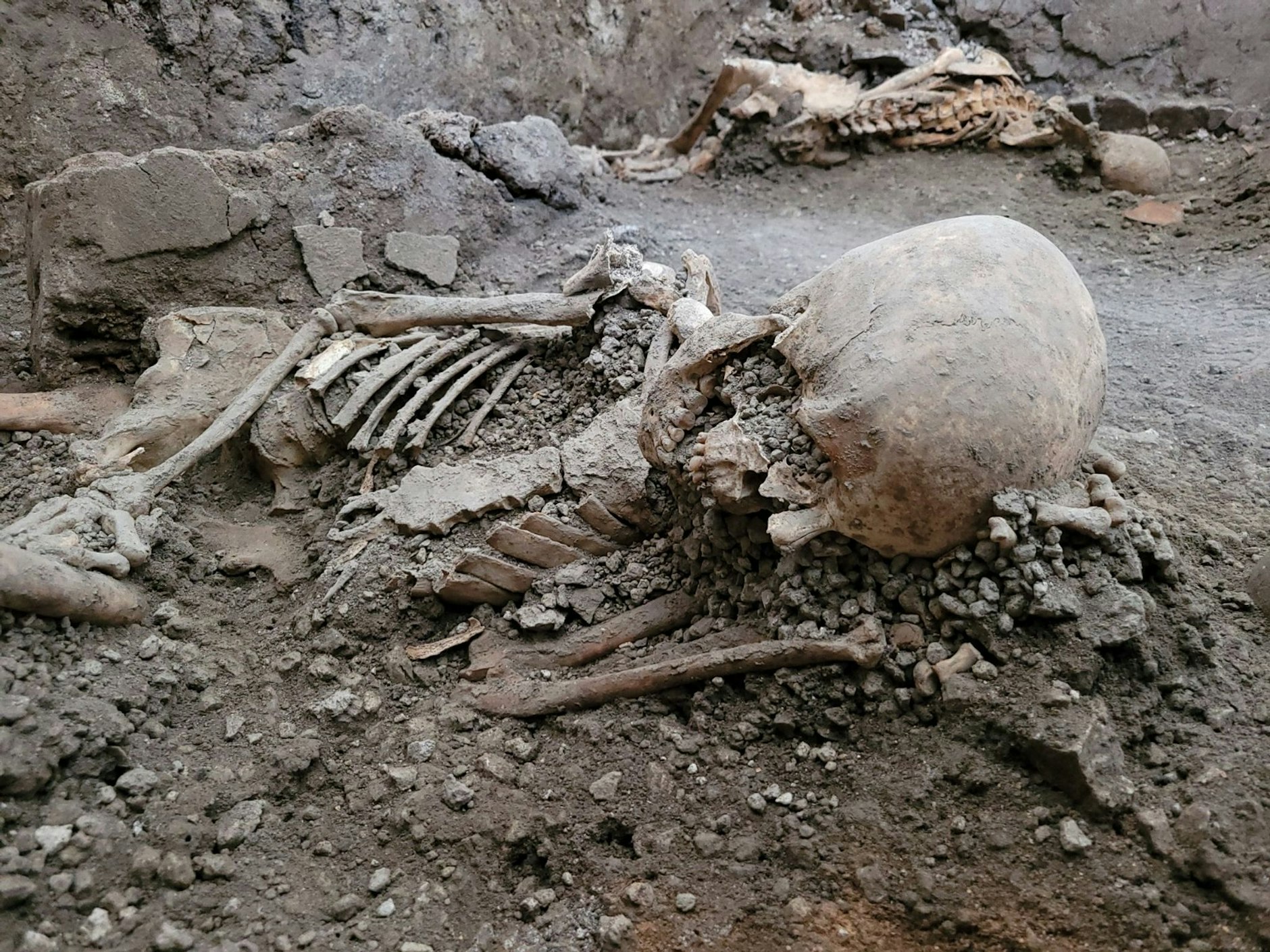 HANDOUT - Forscher haben auf dem archäologischen Gelände der versunkenen Stadt Pompeji in Italien zwei Skelette gefunden.