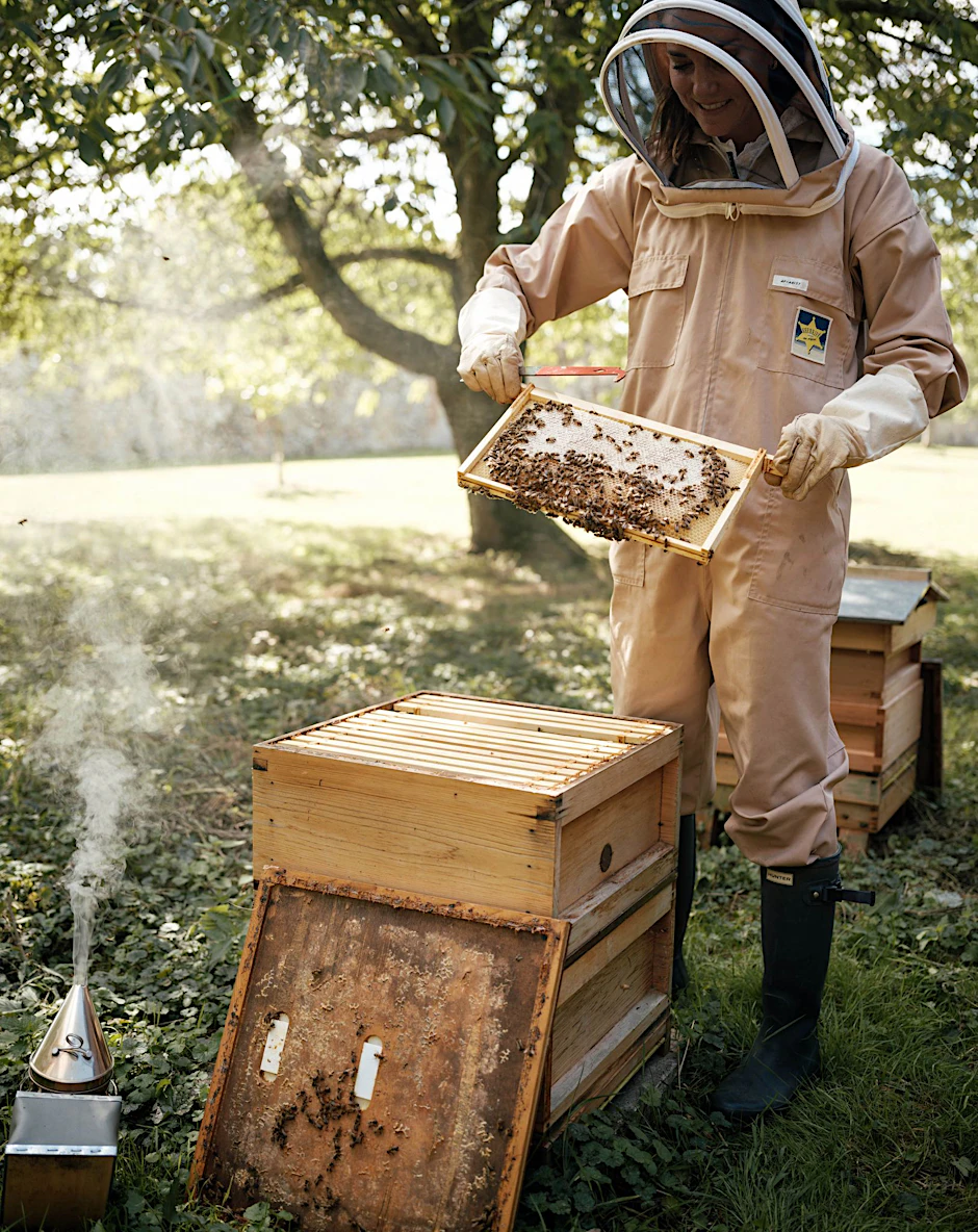 HANDOUT - Prinzessin Kate im letzten Sommer bei der  Pflege eines Bienenstocks in den Gärten von Anmer Hall.  PA Media/dpa