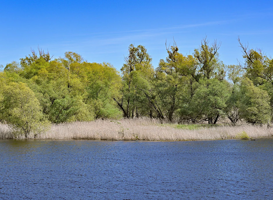 ARCHIV - Blick auf ein Ufer der Oder in Brandenburg.  