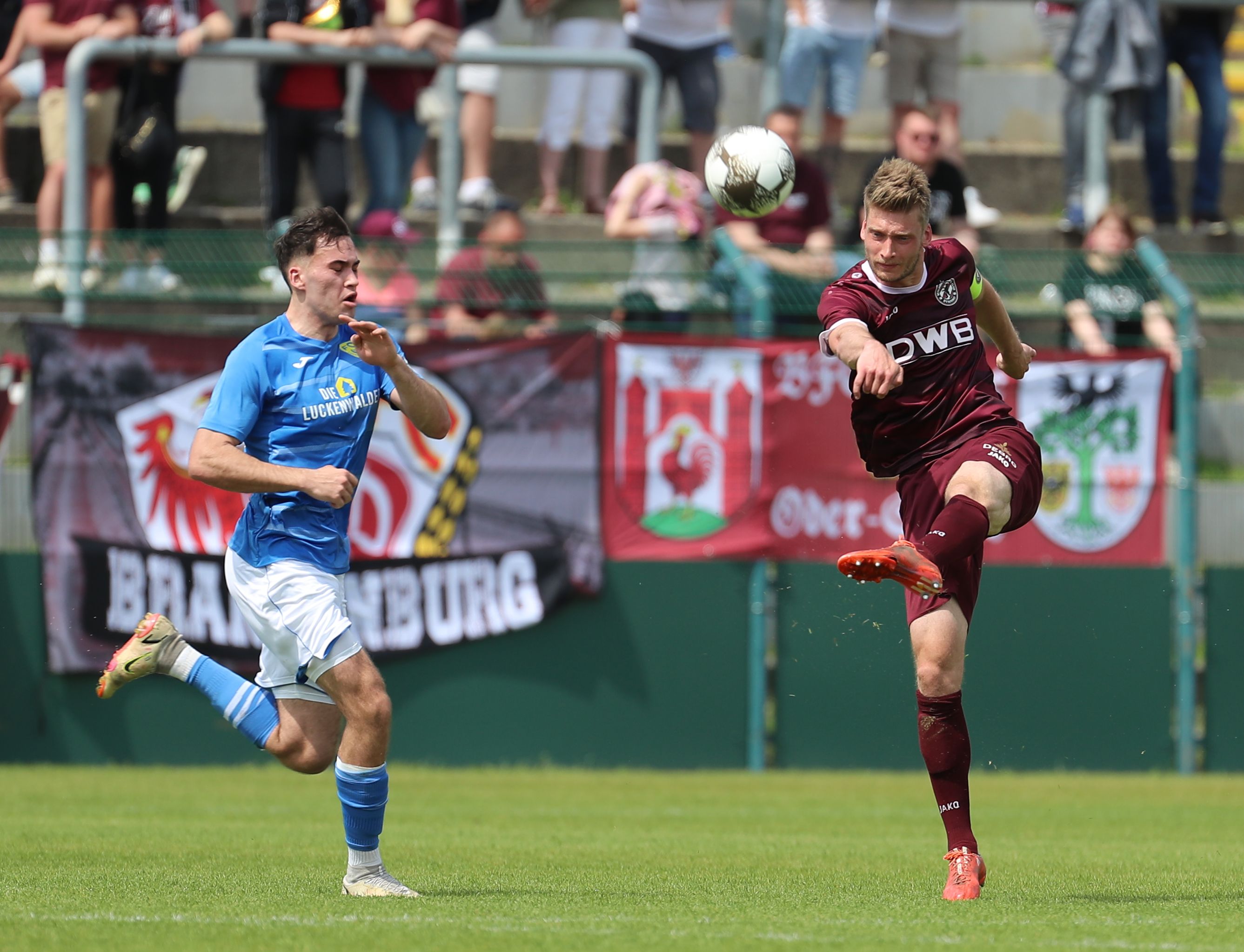 Image - BFC Dynamo leckt nach Pleite gegen Luckenwalde seine Wunden