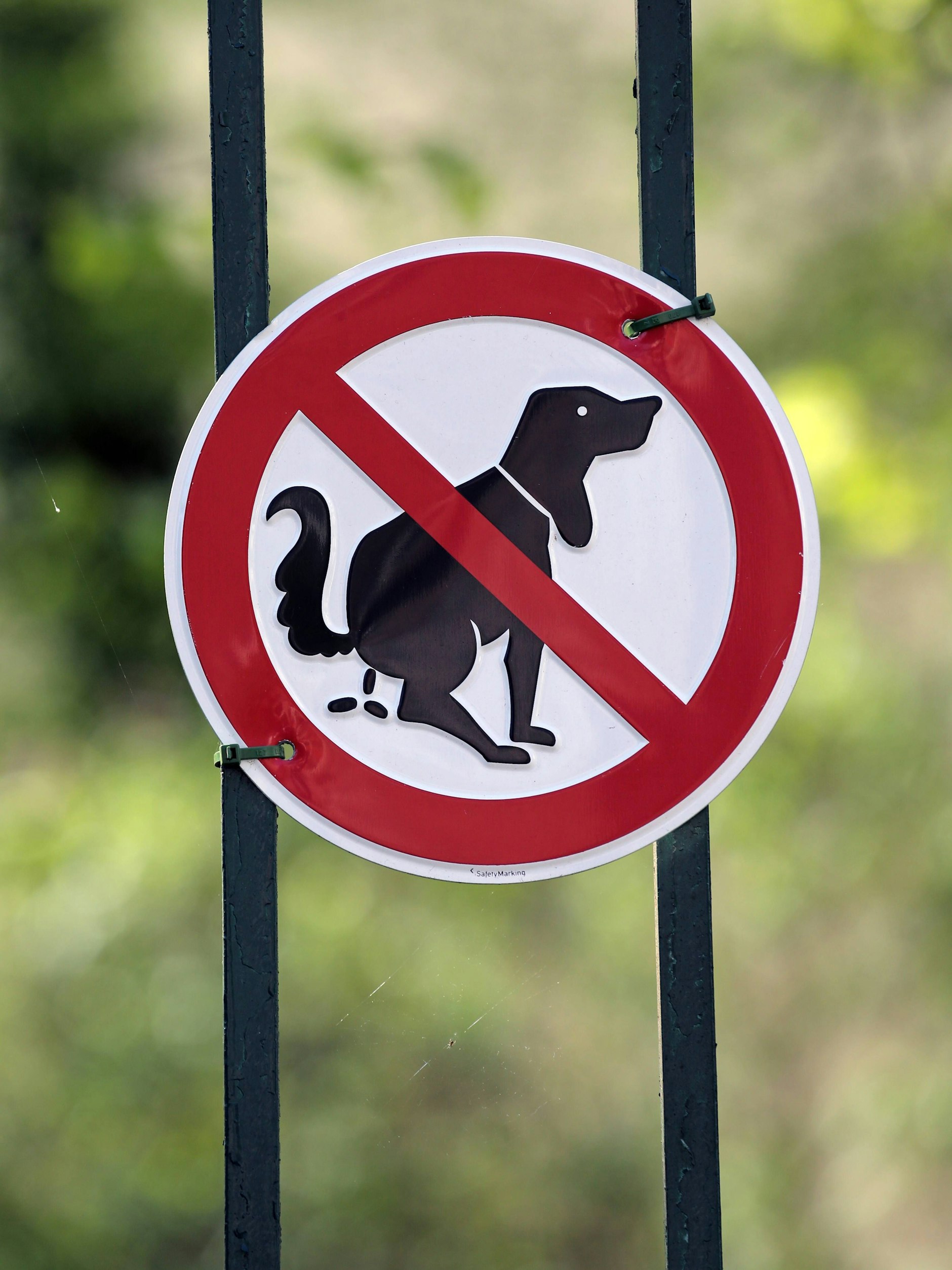 Niemand möchte Hundekot vor seinem Grundstück haben - viele Menschen stellen deshalb solche Schilder auf.